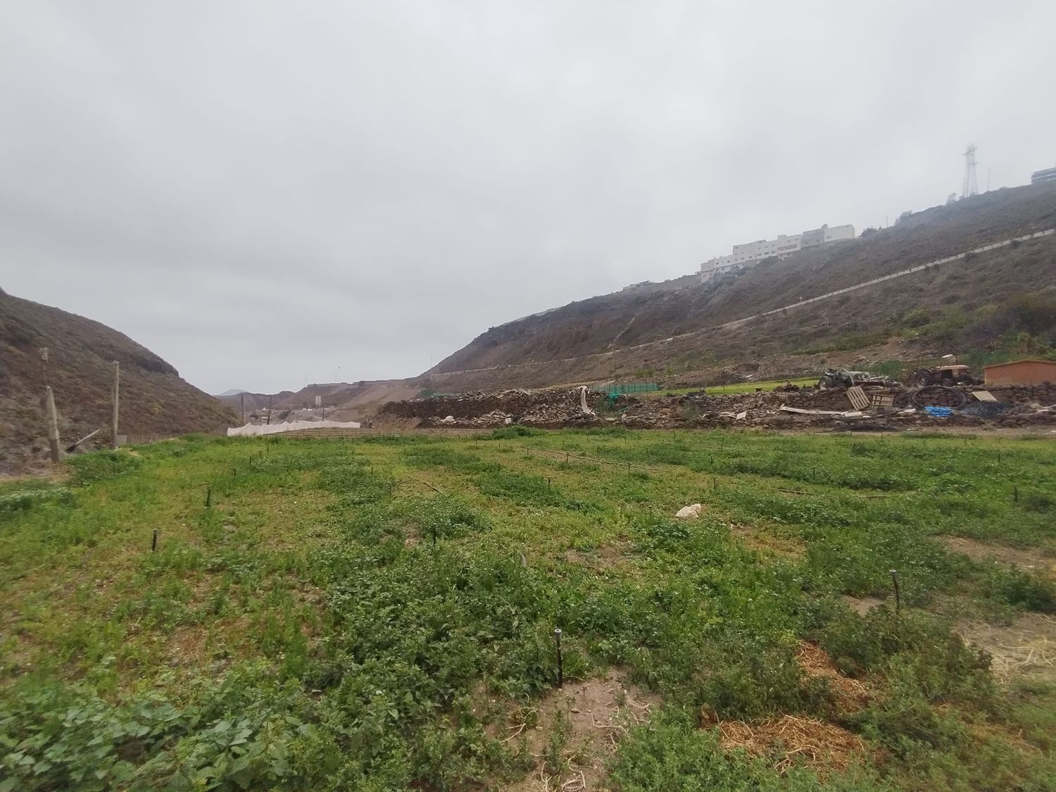 Casas o chalets-Venta-Las Palmas de Gran Canaria-1791746-Foto-25