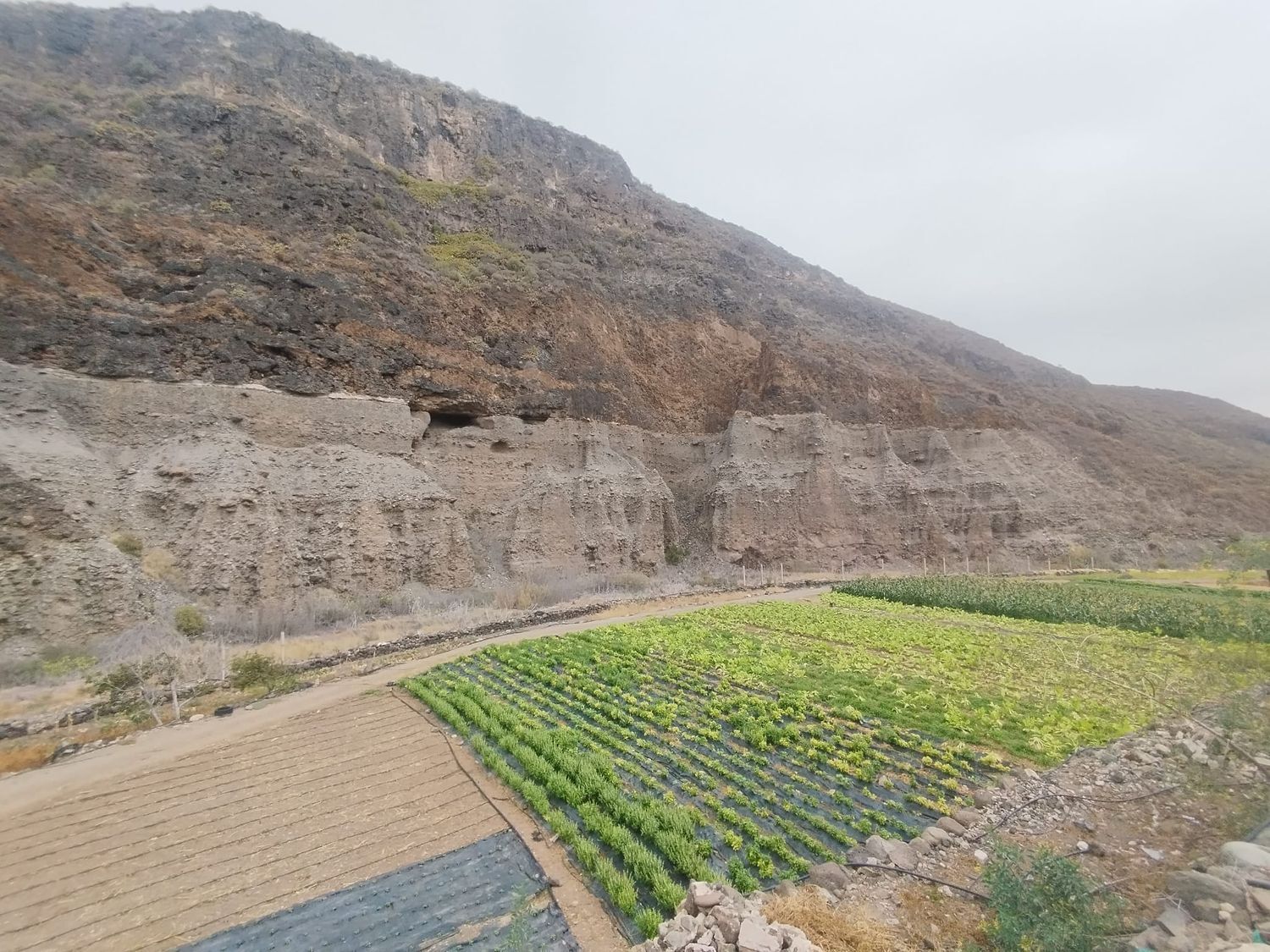 Casas o chalets-Venta-Las Palmas de Gran Canaria-1791746-Foto-23