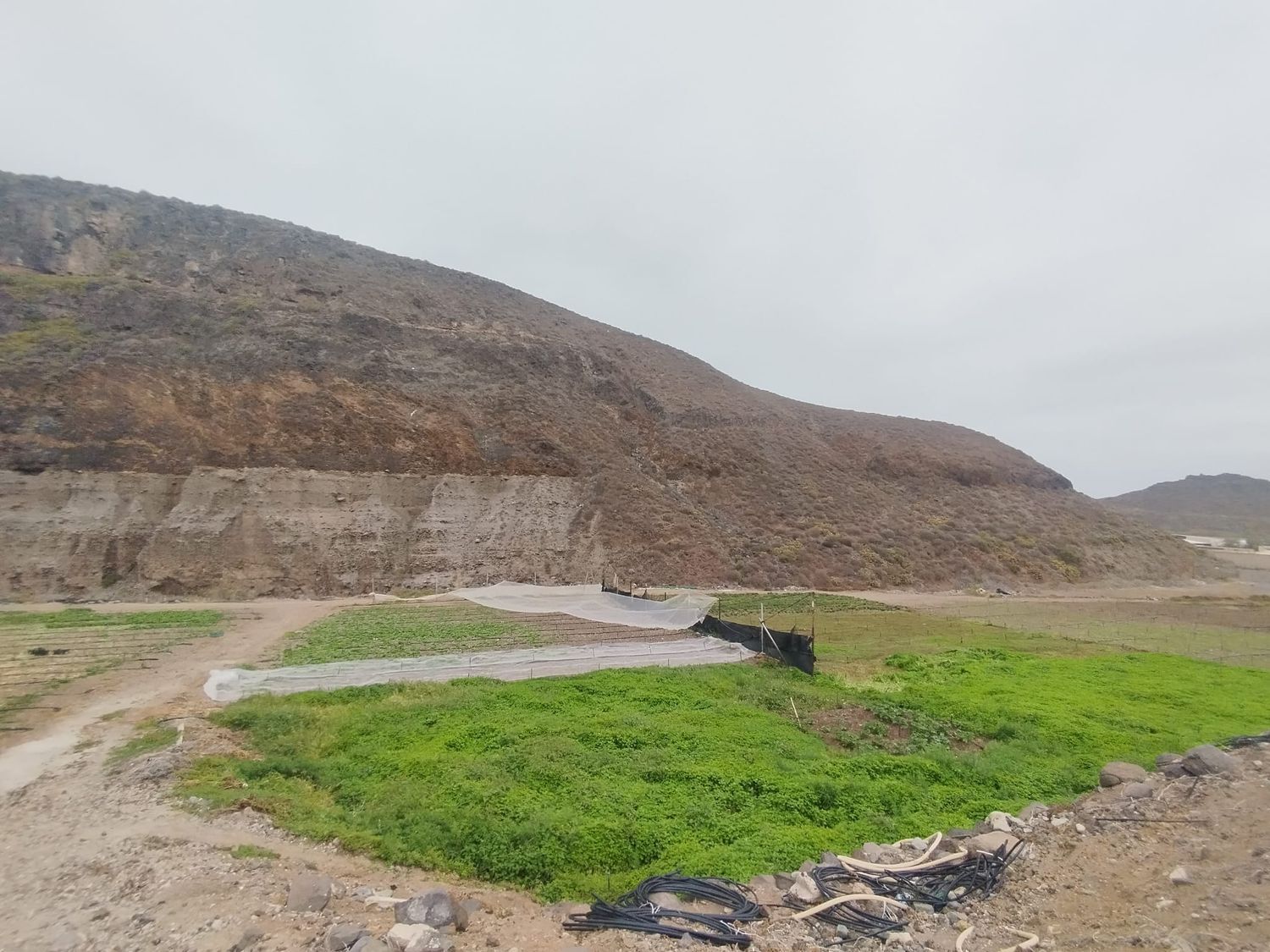 Casas o chalets-Venta-Las Palmas de Gran Canaria-1791746-Foto-27