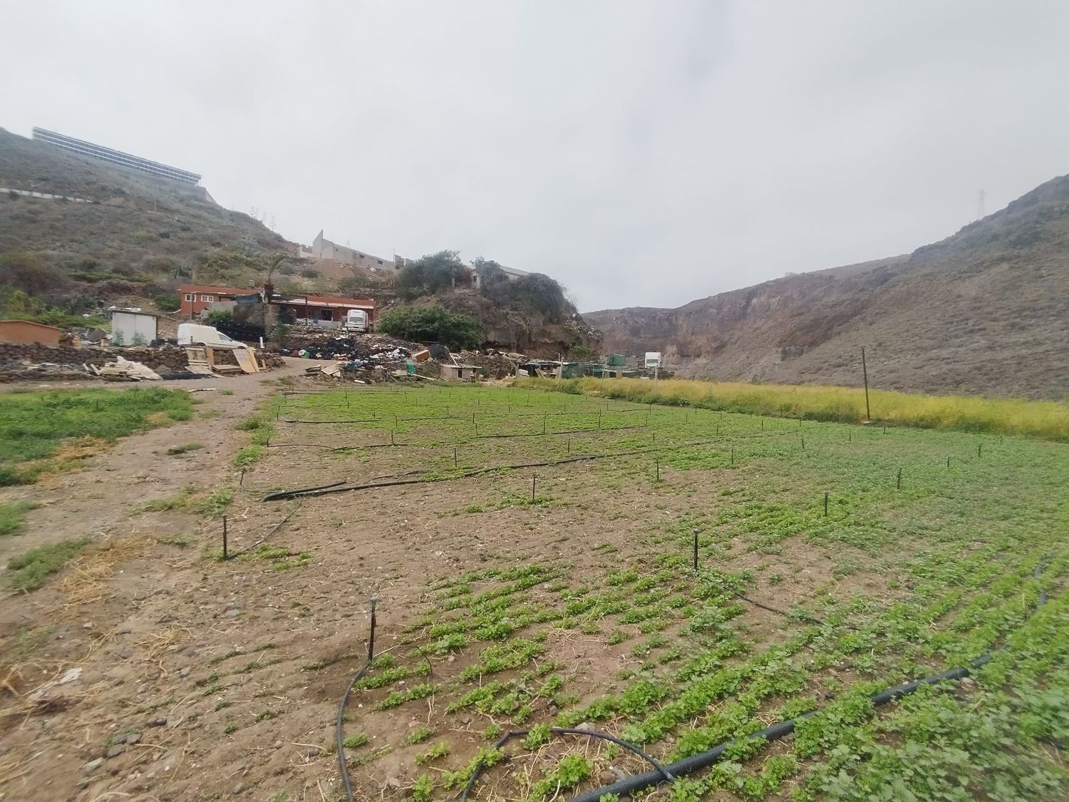 Casas o chalets-Venta-Las Palmas de Gran Canaria-1791746-Foto-31