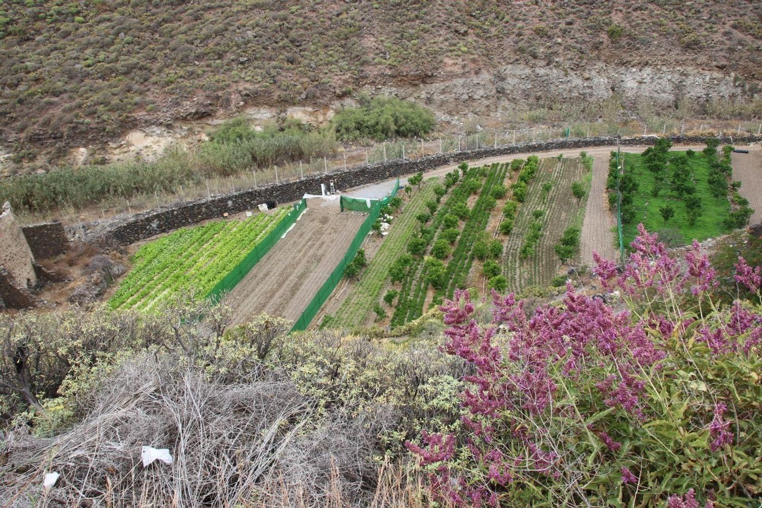 Casas o chalets-Venta-Las Palmas de Gran Canaria-1791746-Foto-33