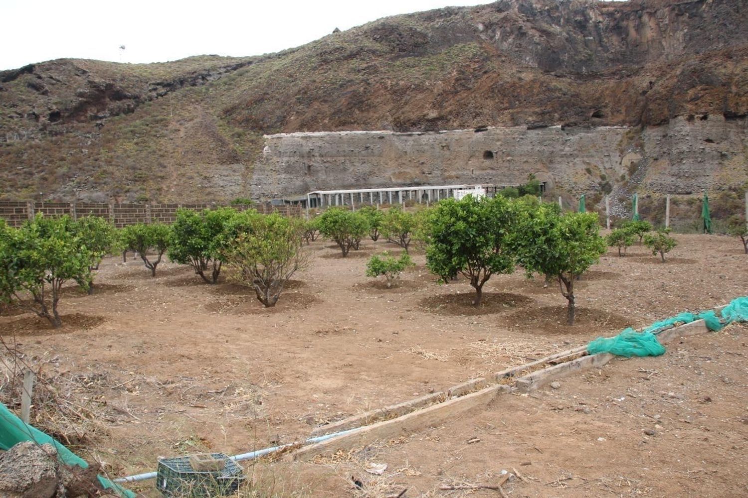 Casas o chalets-Venta-Las Palmas de Gran Canaria-1791746-Foto-35