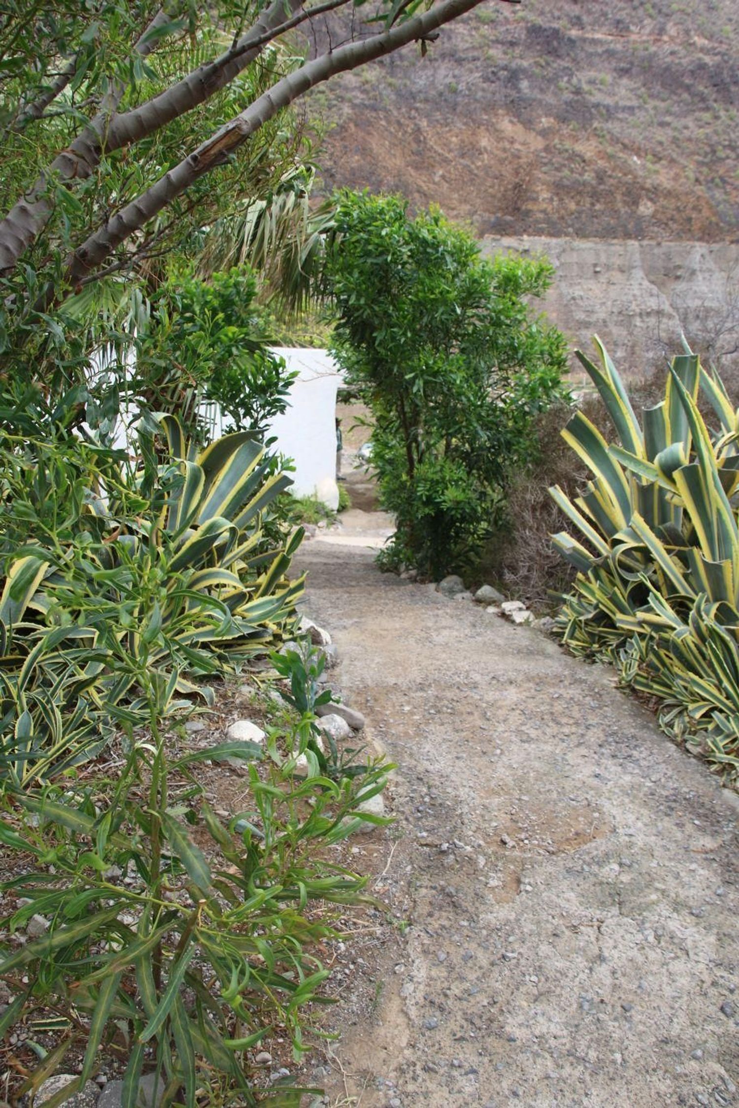 Casas o chalets-Venta-Las Palmas de Gran Canaria-1791746-Foto-32