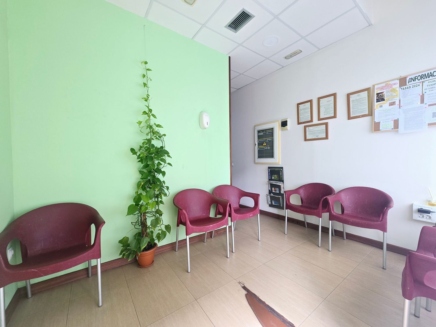Negocios-Venta-Las Palmas de Gran Canaria-1717011-Foto-5