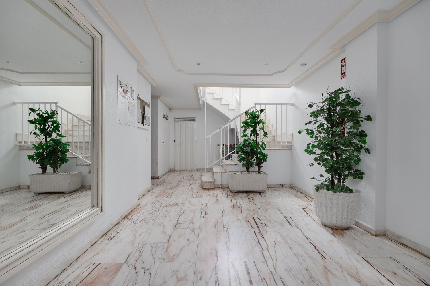 Pisos-Venta-Torrevieja-1828330-Foto-23