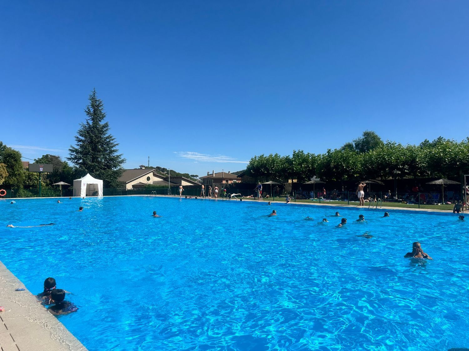 Casas o chalets-Venta-El Hoyo de Pinares-1766298-Foto-41