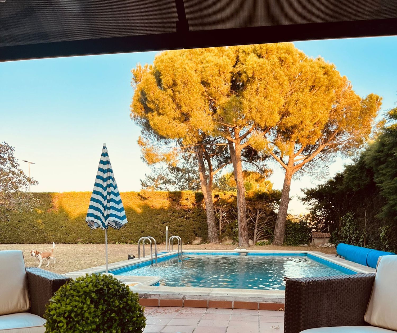 Casas o chalets-Venta-Las Rozas de Madrid-1768091-Foto-14
