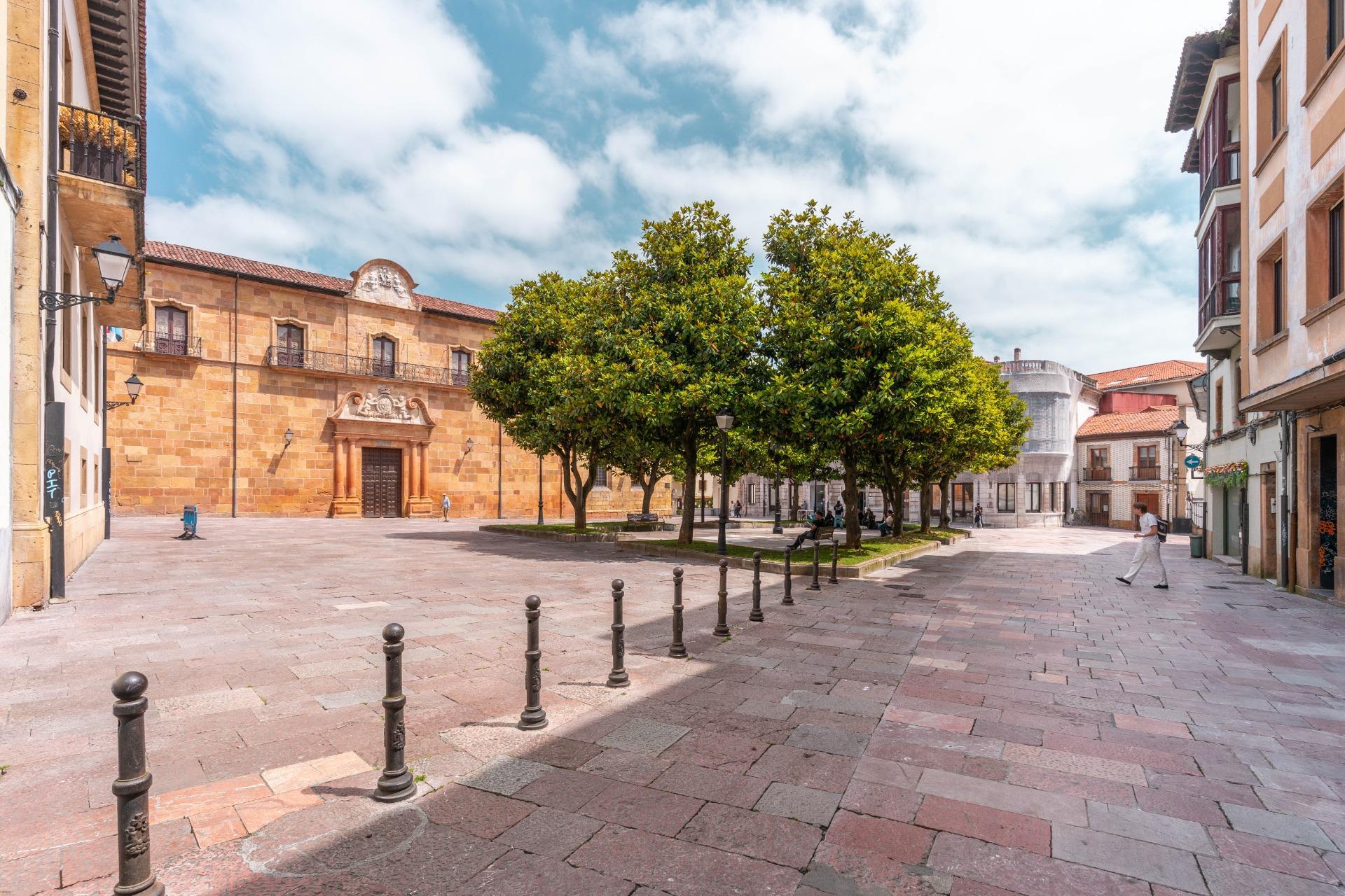 Pisos-Venta-Oviedo-1762775-Foto-28