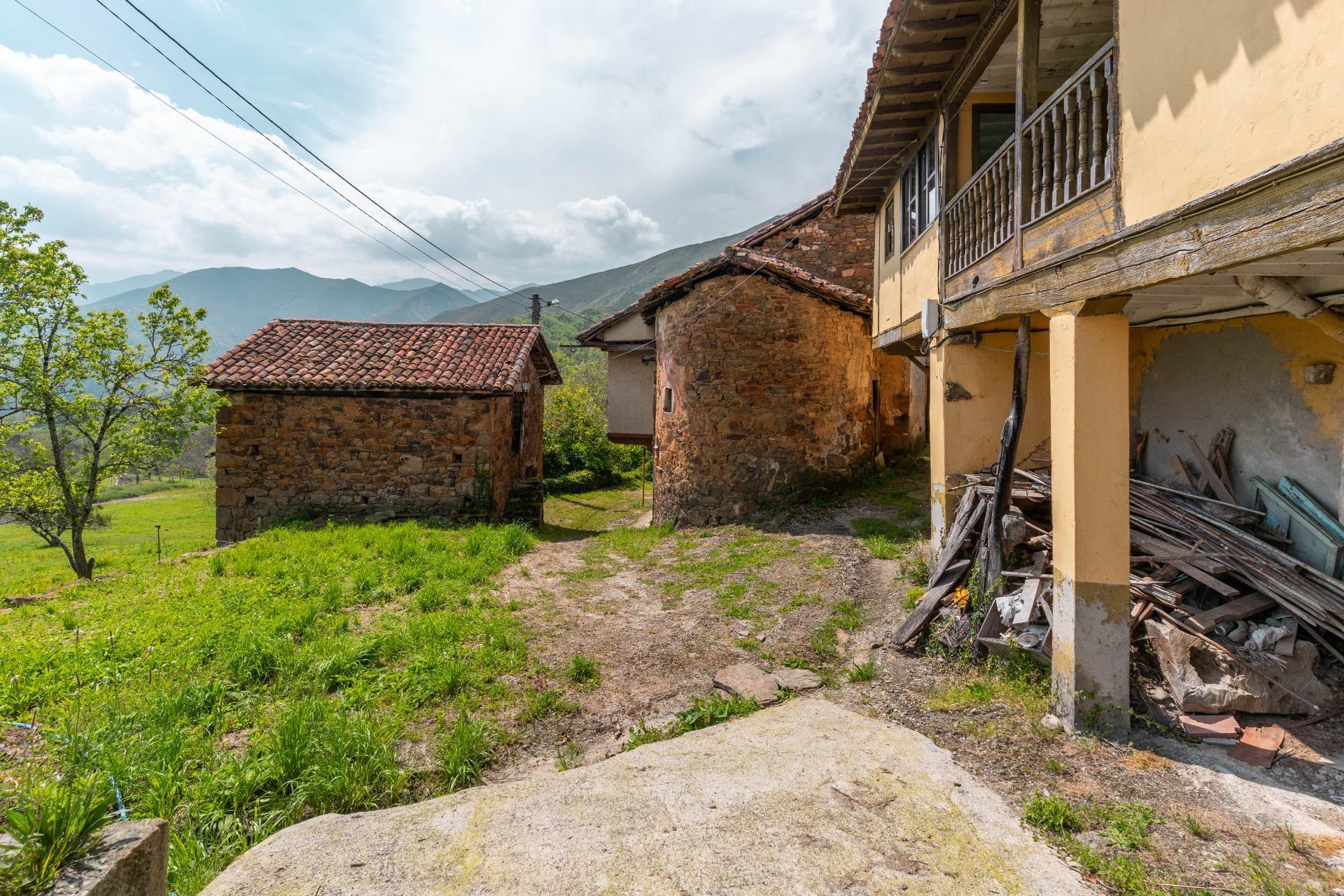 Casas o chalets-Venta-PiloÃ±a-1724103-Foto-10