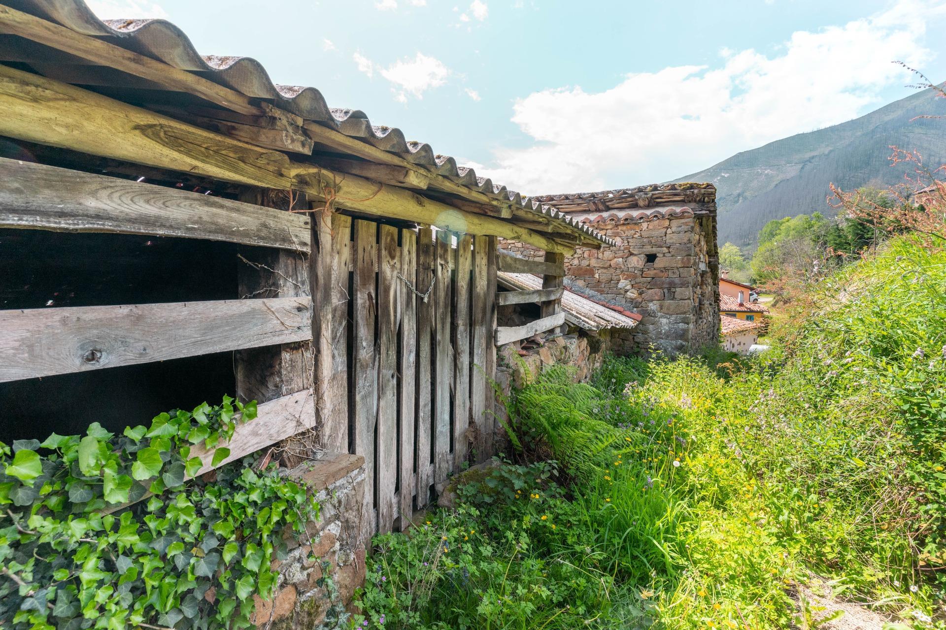 Casas o chalets-Venta-PiloÃ±a-1724103-Foto-36