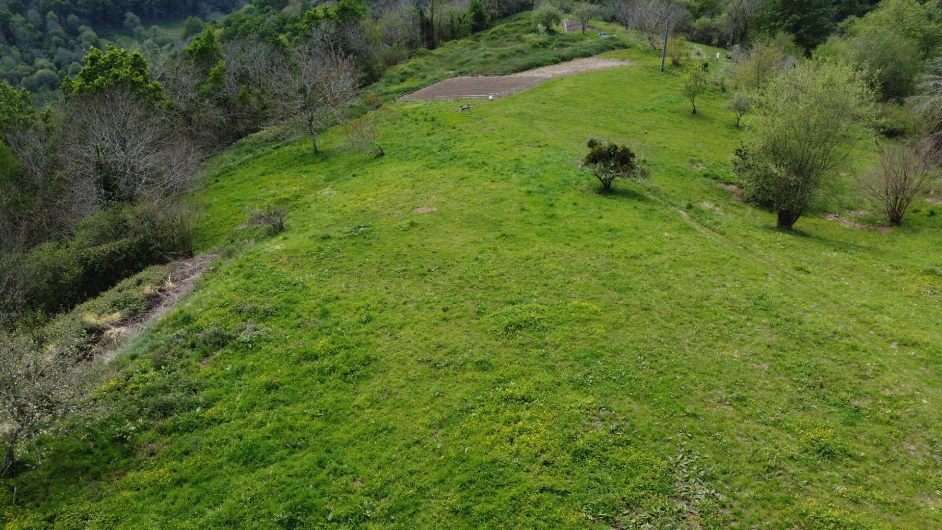 Casas o chalets-Venta-PiloÃ±a-1724103-Foto-38