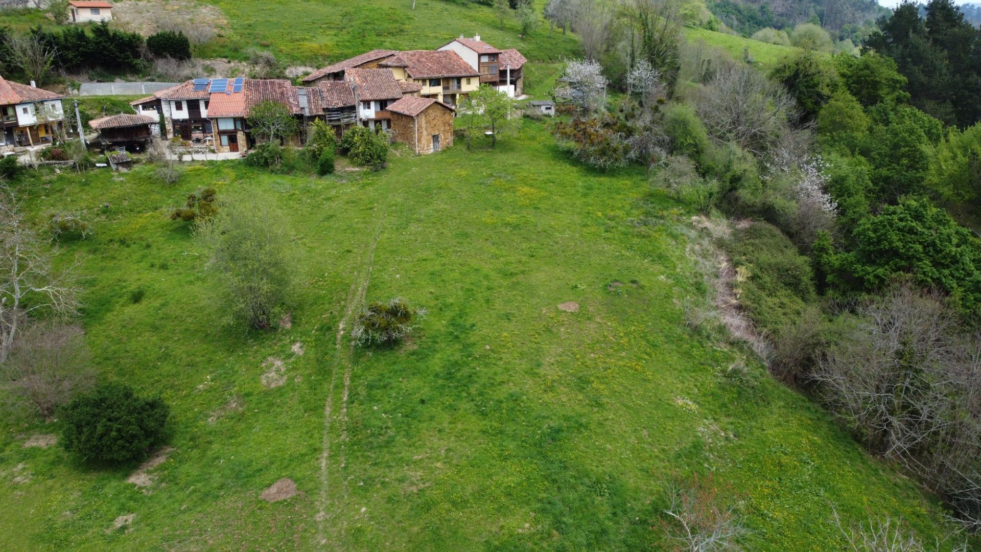Casas o chalets-Venta-PiloÃ±a-1724103-Foto-37