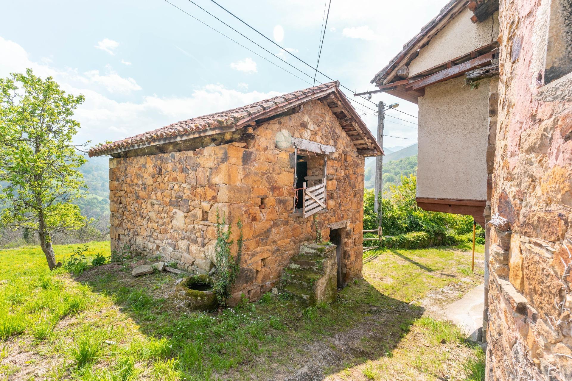 Casas o chalets-Venta-PiloÃ±a-1724103-Foto-40