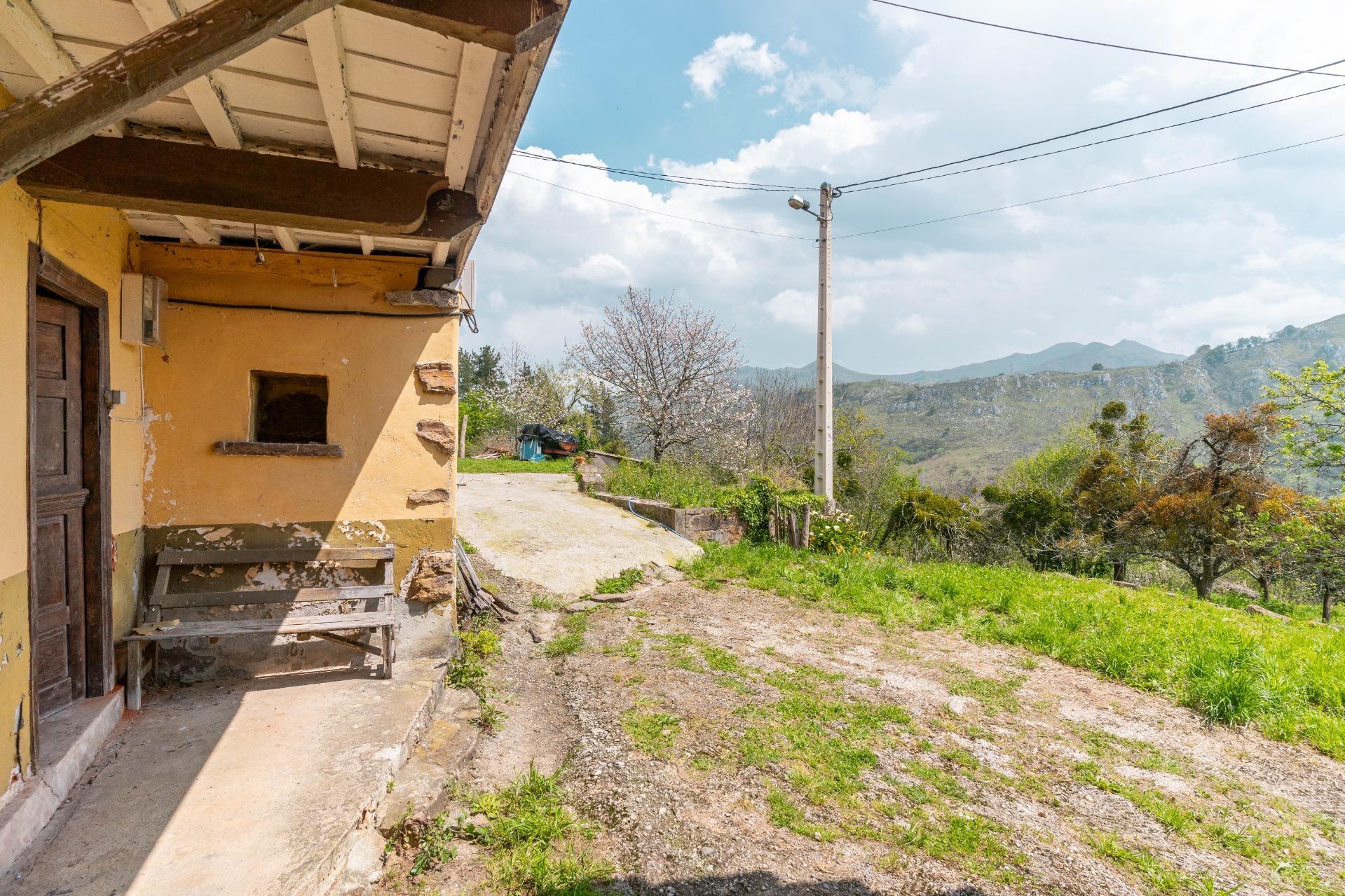 Casas o chalets-Venta-PiloÃ±a-1724103-Foto-39