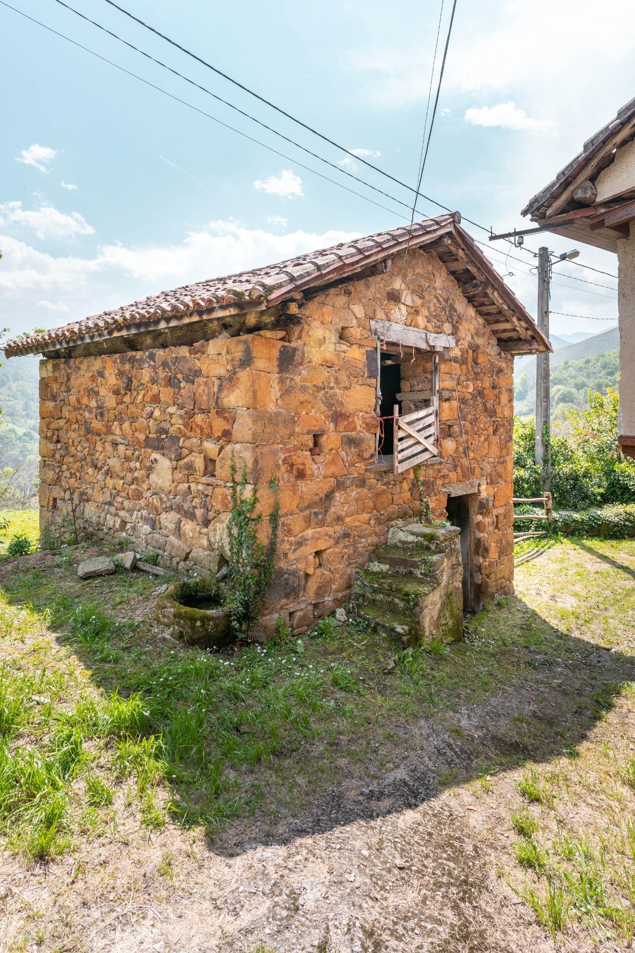 Casas o chalets-Venta-PiloÃ±a-1724103-Foto-41