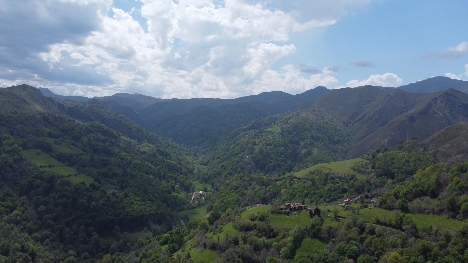 Casas o chalets-Venta-PiloÃ±a-1724103-Foto-46