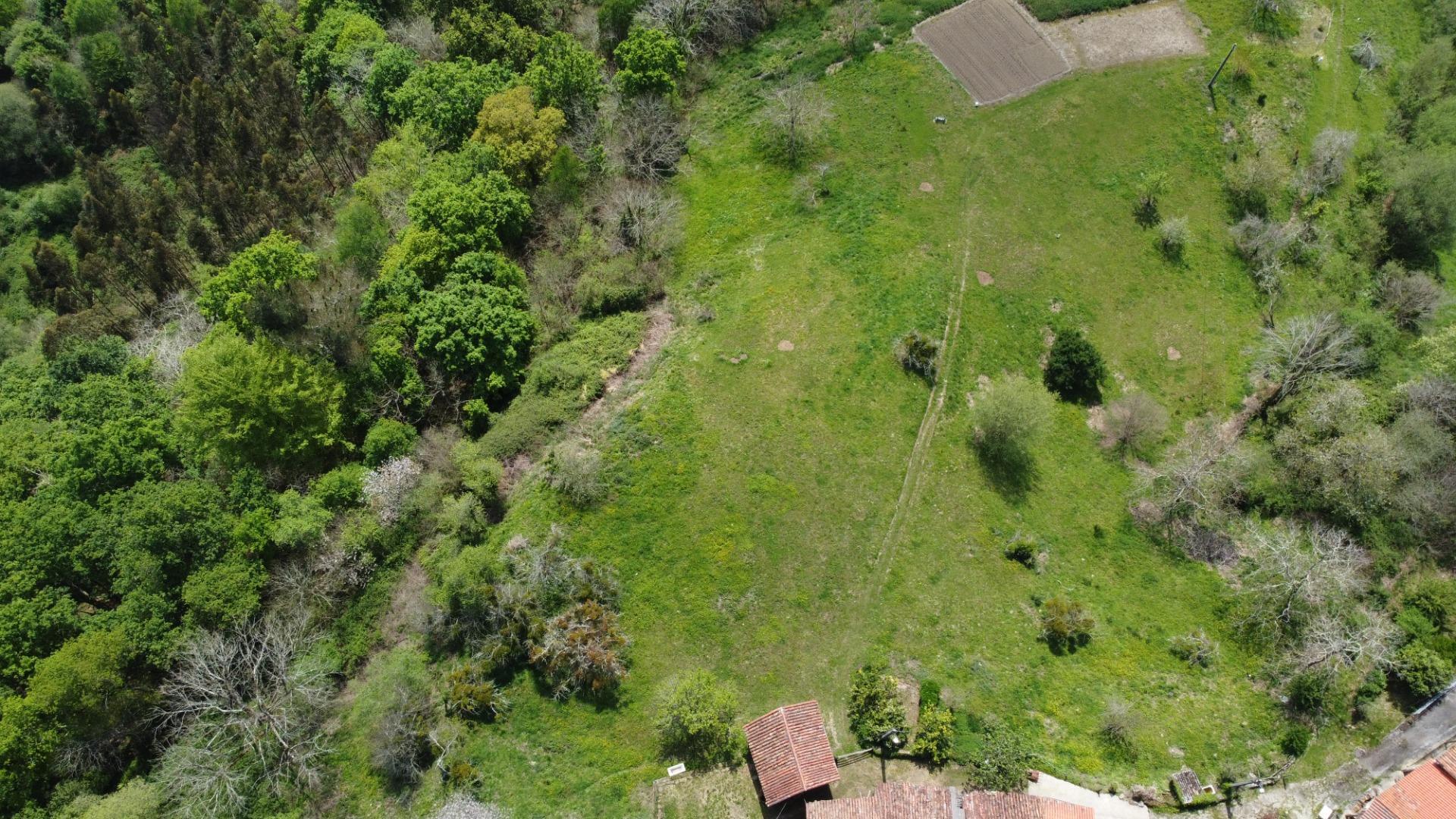 Casas o chalets-Venta-PiloÃ±a-1724103-Foto-43