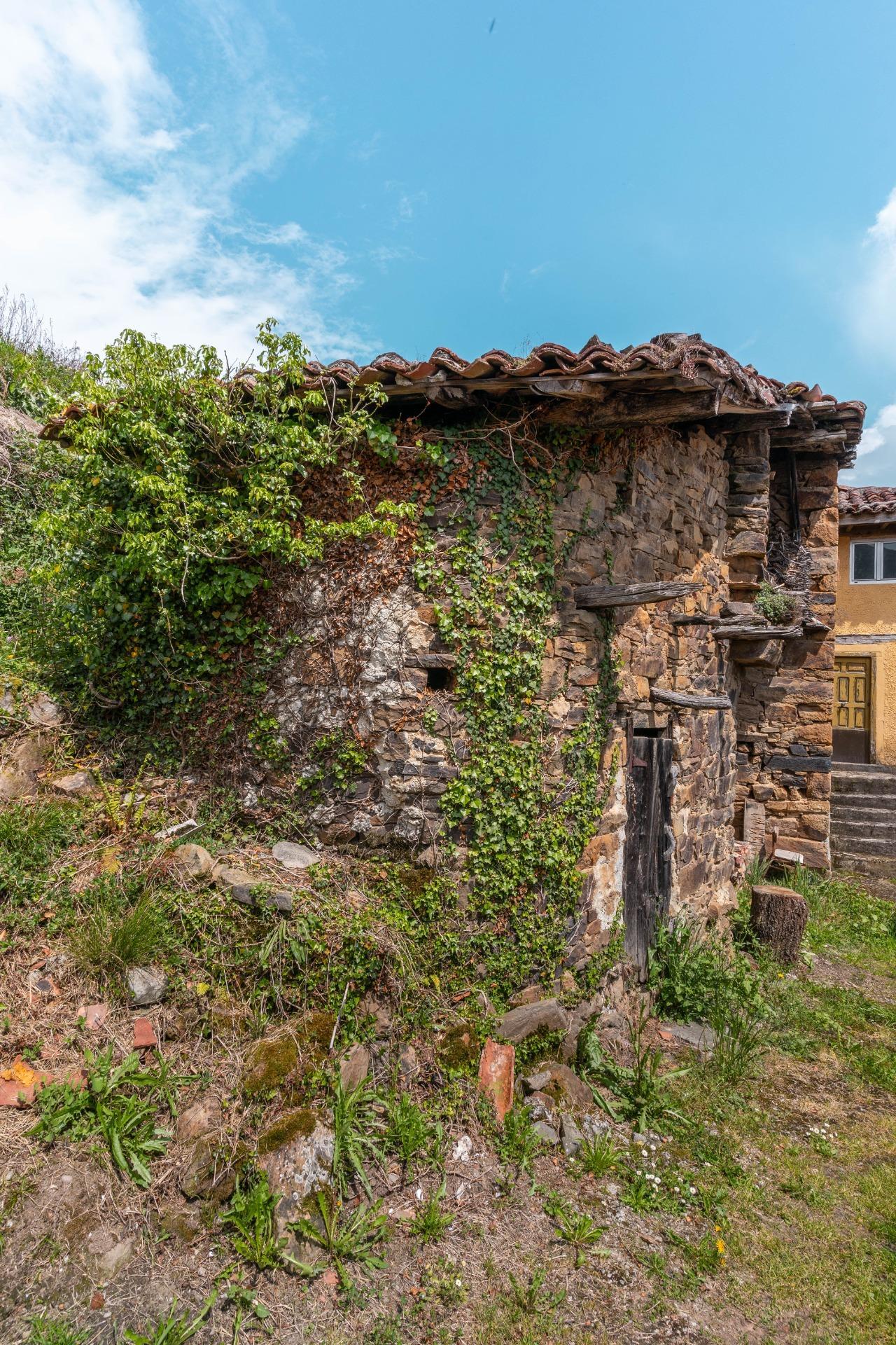 Casas o chalets-Venta-PiloÃ±a-1724103-Foto-42