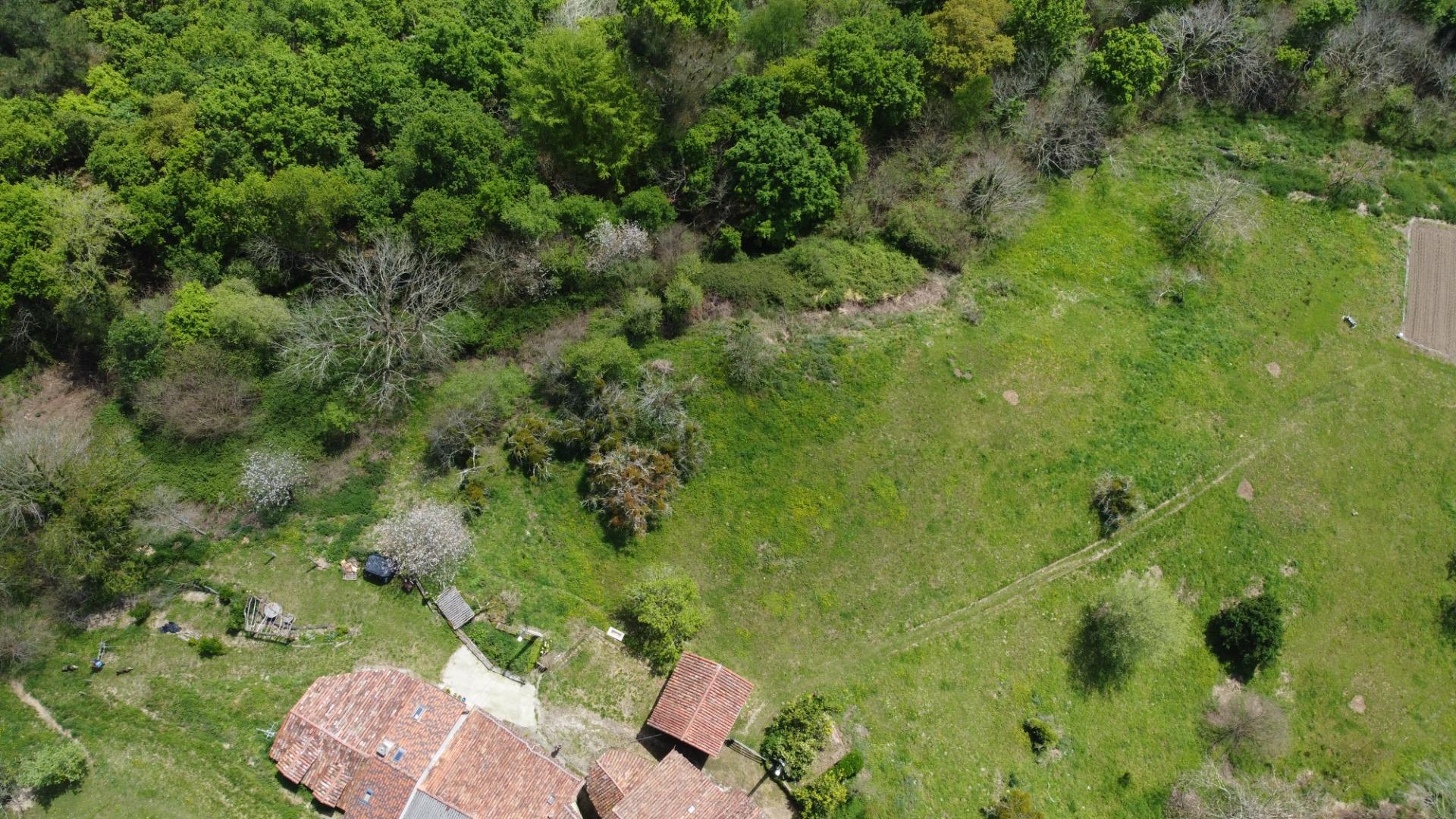 Casas o chalets-Venta-PiloÃ±a-1724103-Foto-44