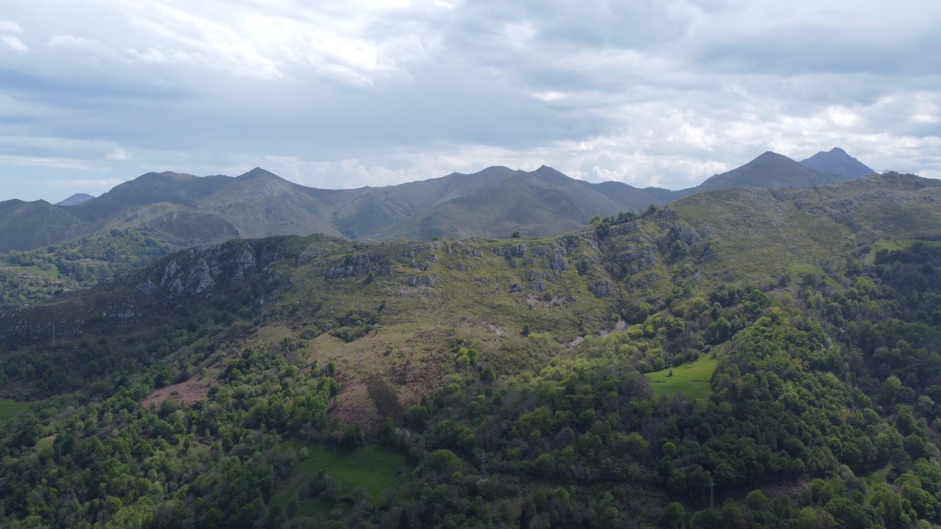 Casas o chalets-Venta-PiloÃ±a-1724103-Foto-47