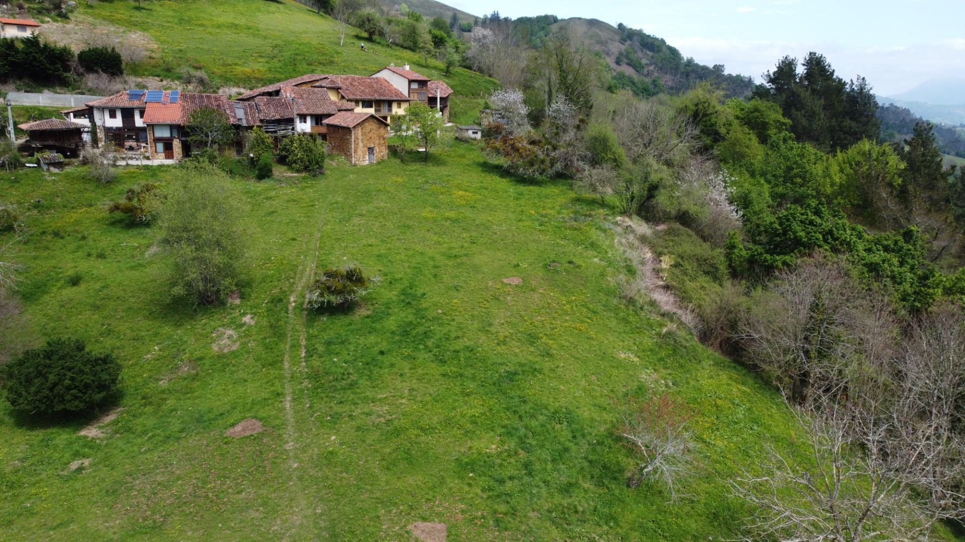 Casas o chalets-Venta-PiloÃ±a-1724103-Foto-49