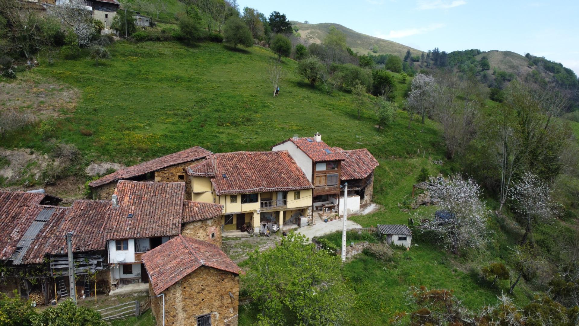 Casas o chalets-Venta-PiloÃ±a-1724103-Foto-51