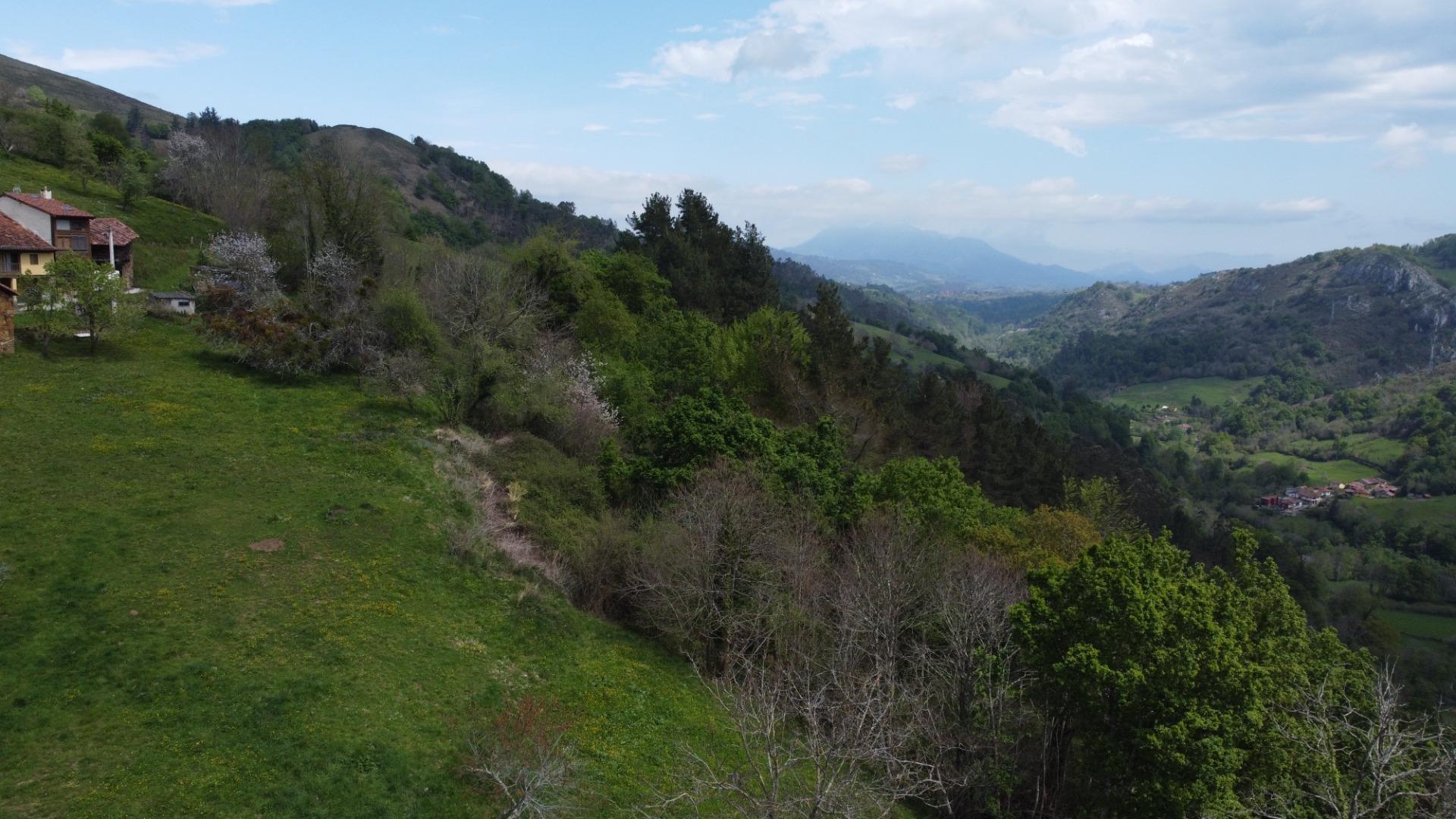 Casas o chalets-Venta-PiloÃ±a-1724103-Foto-50