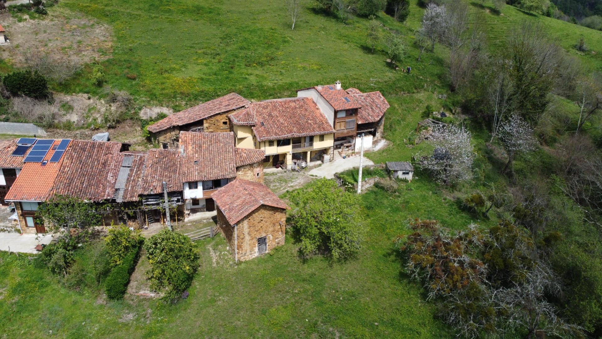 Casas o chalets-Venta-PiloÃ±a-1724103-Foto-48