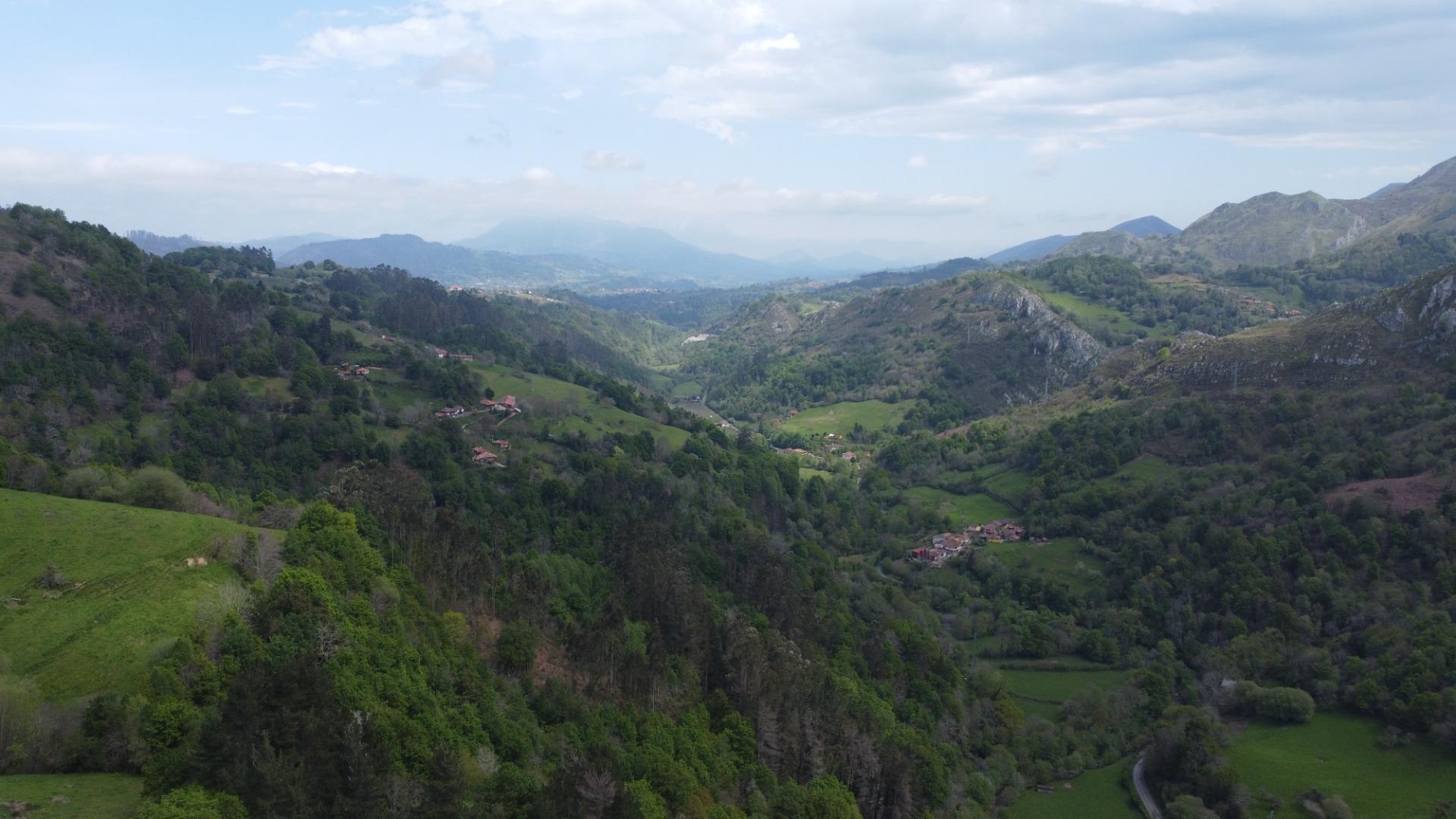 Casas o chalets-Venta-PiloÃ±a-1724103-Foto-52
