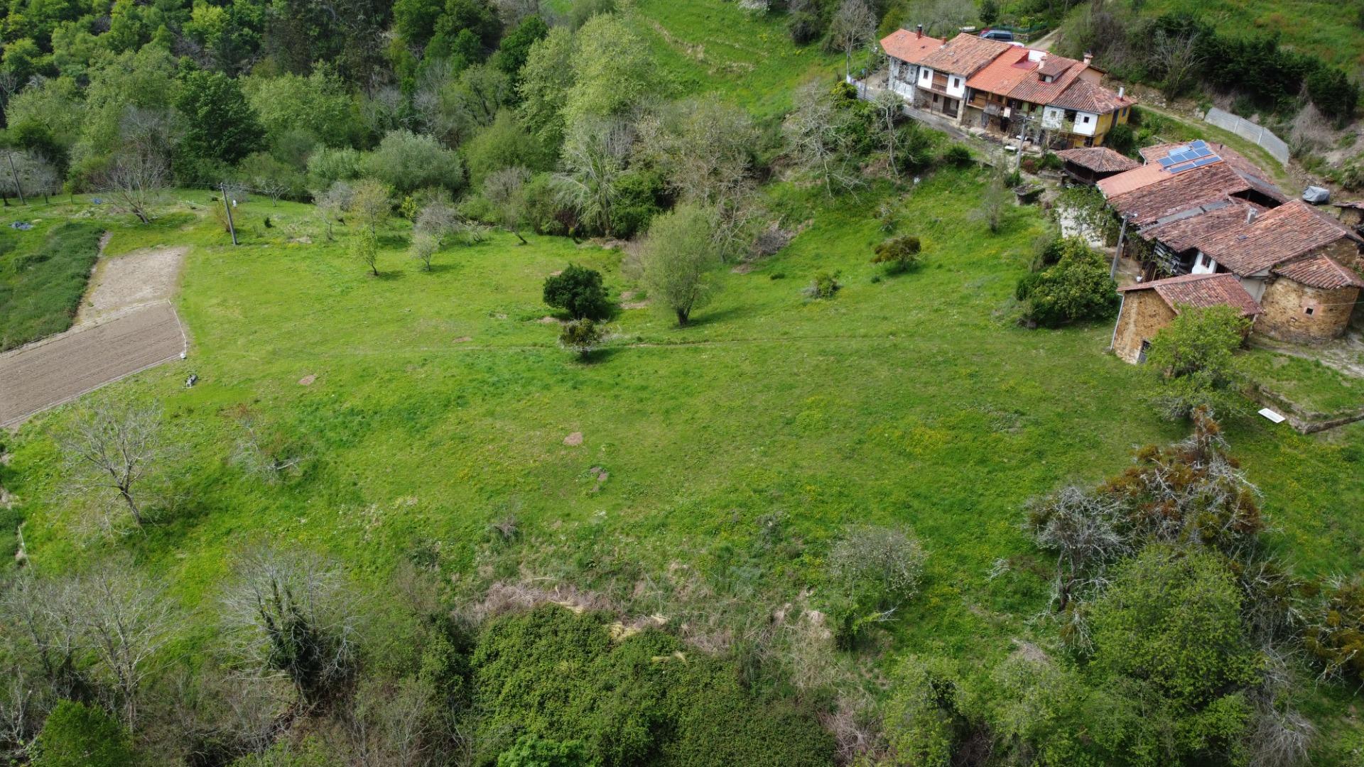 Casas o chalets-Venta-PiloÃ±a-1724103-Foto-60