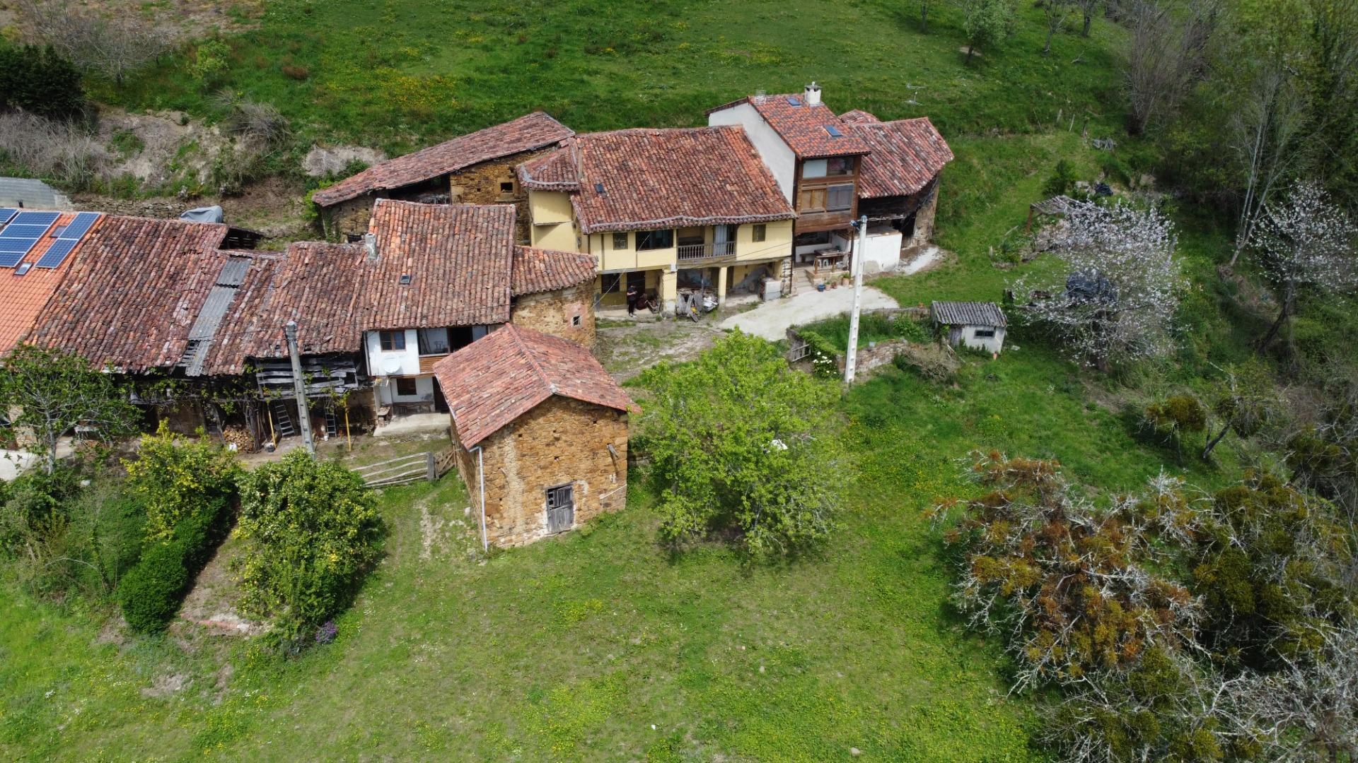 Casas o chalets-Venta-PiloÃ±a-1724103-Foto-58