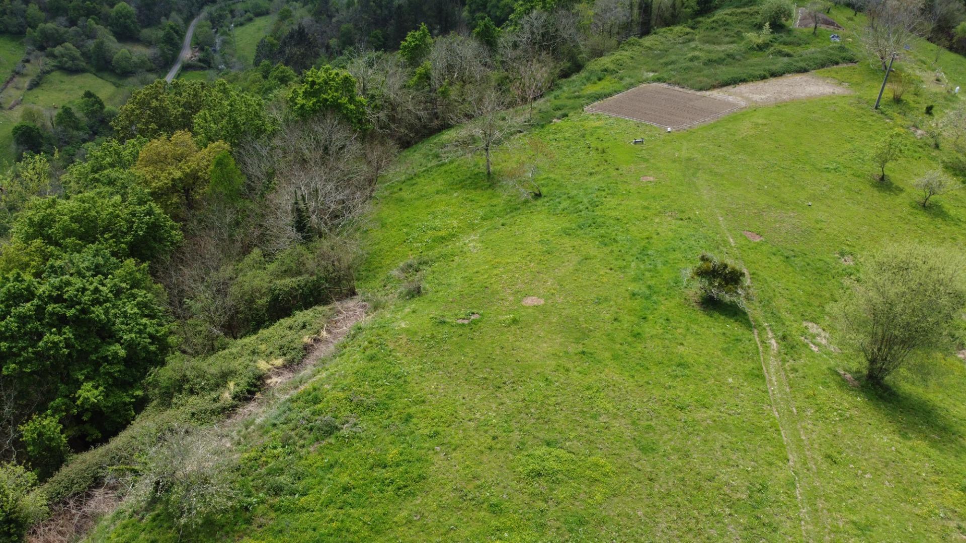 Casas o chalets-Venta-PiloÃ±a-1724103-Foto-59