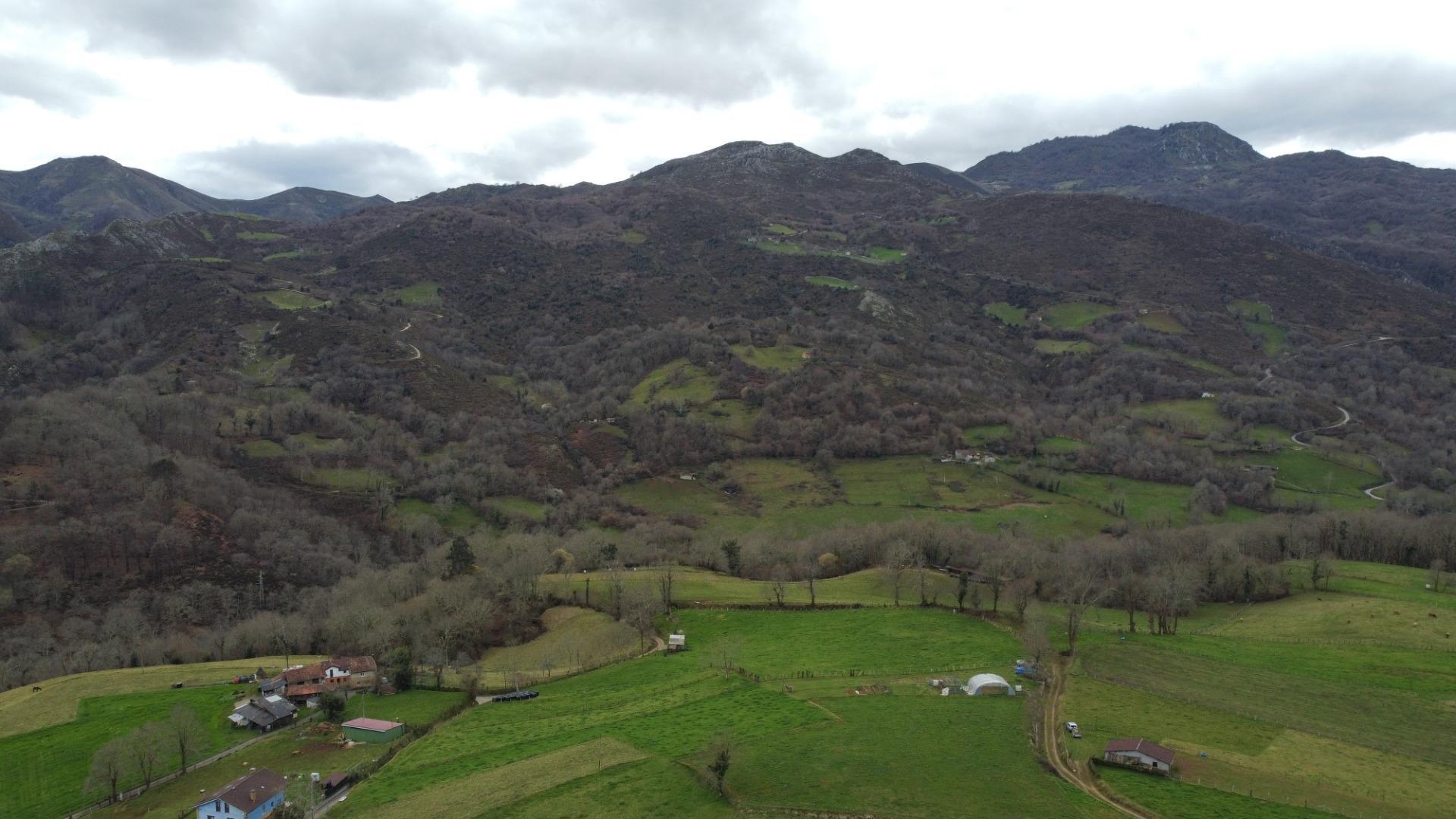 Casas o chalets-Venta-Las Navas del MarquÃ©s-1658251-Foto-31