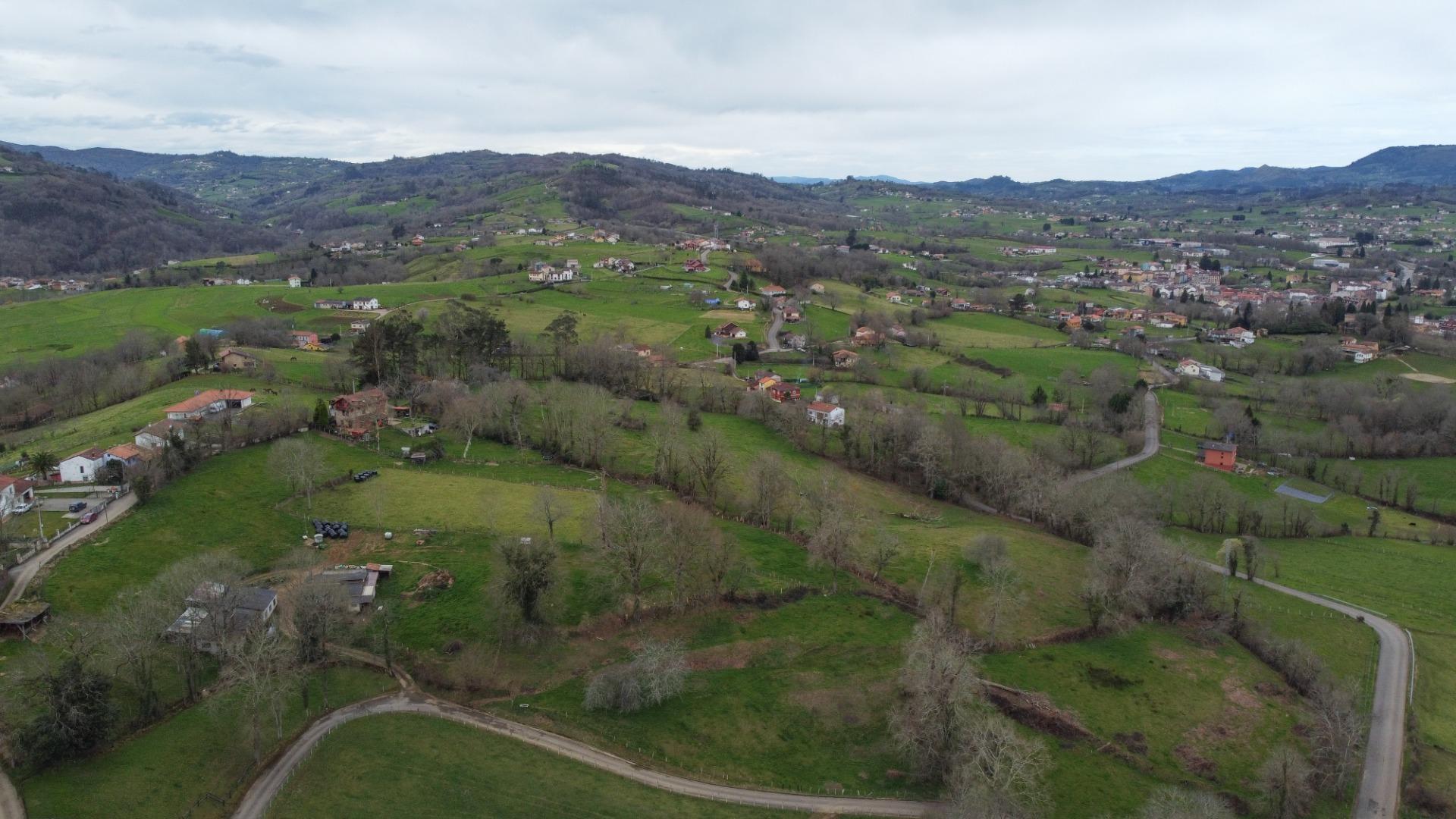 Casas o chalets-Venta-Las Navas del MarquÃ©s-1658251-Foto-33