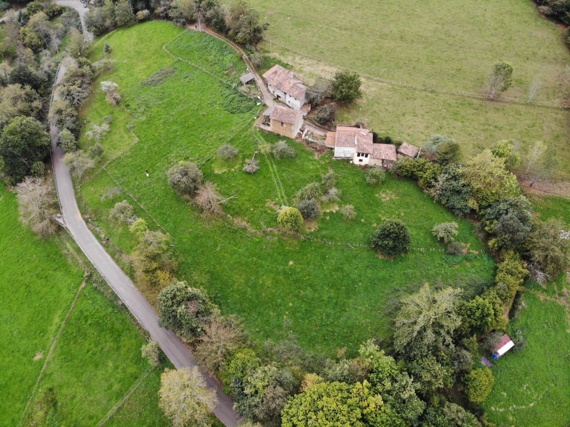Fincas y solares-Venta-Piloña-1439495