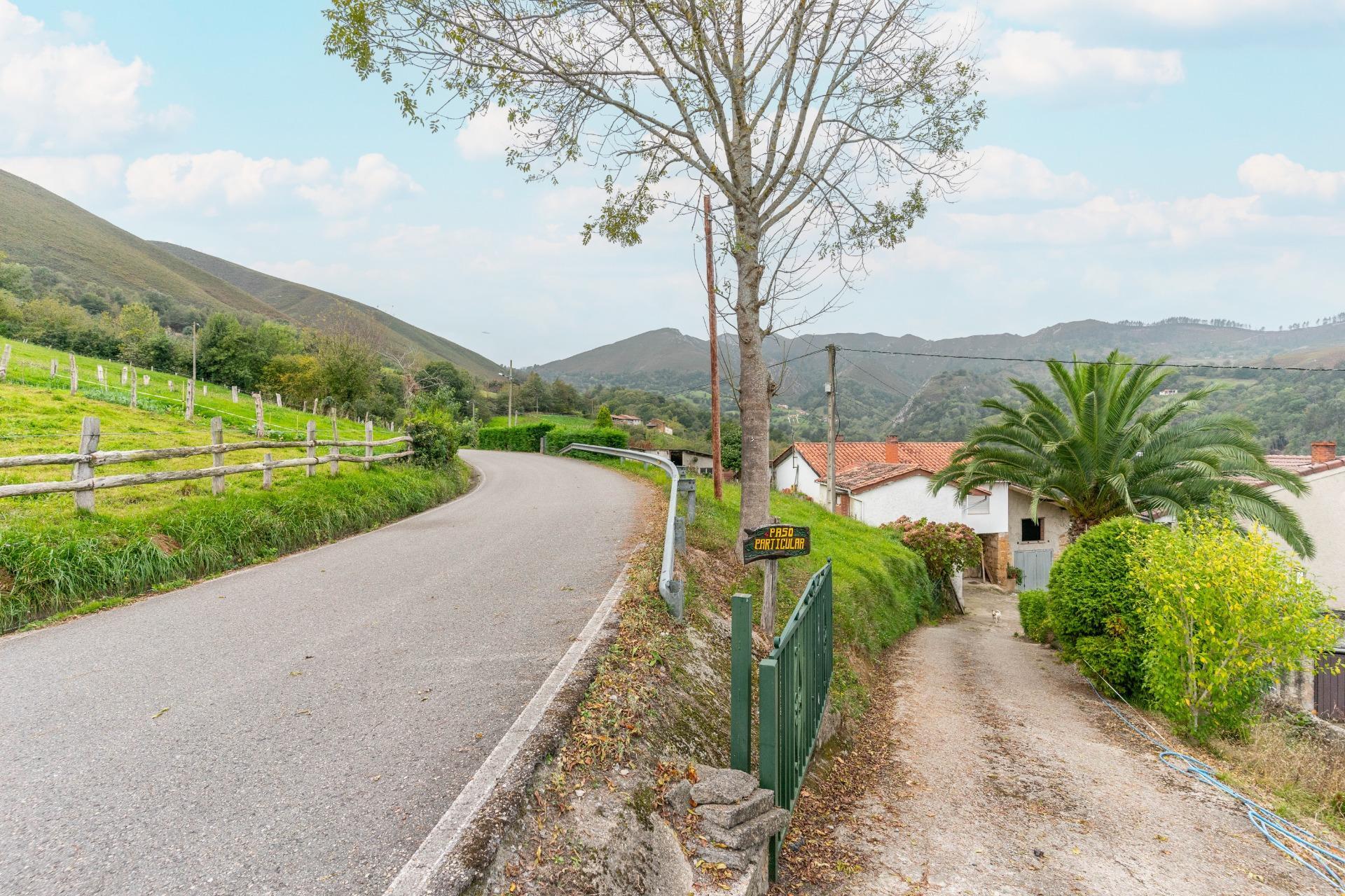 Fincas y solares-Venta-PiloÃ±a-1439495-Foto-9