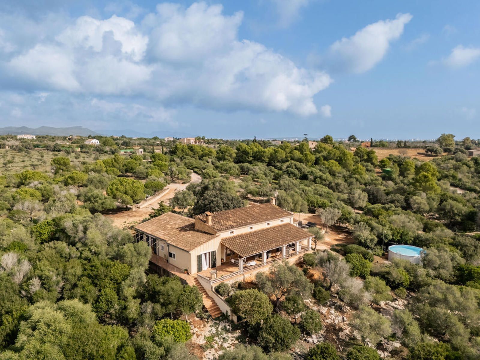 Casas o chalets-Venta-Portocristo/Port De Manacor-1640306-Foto-25