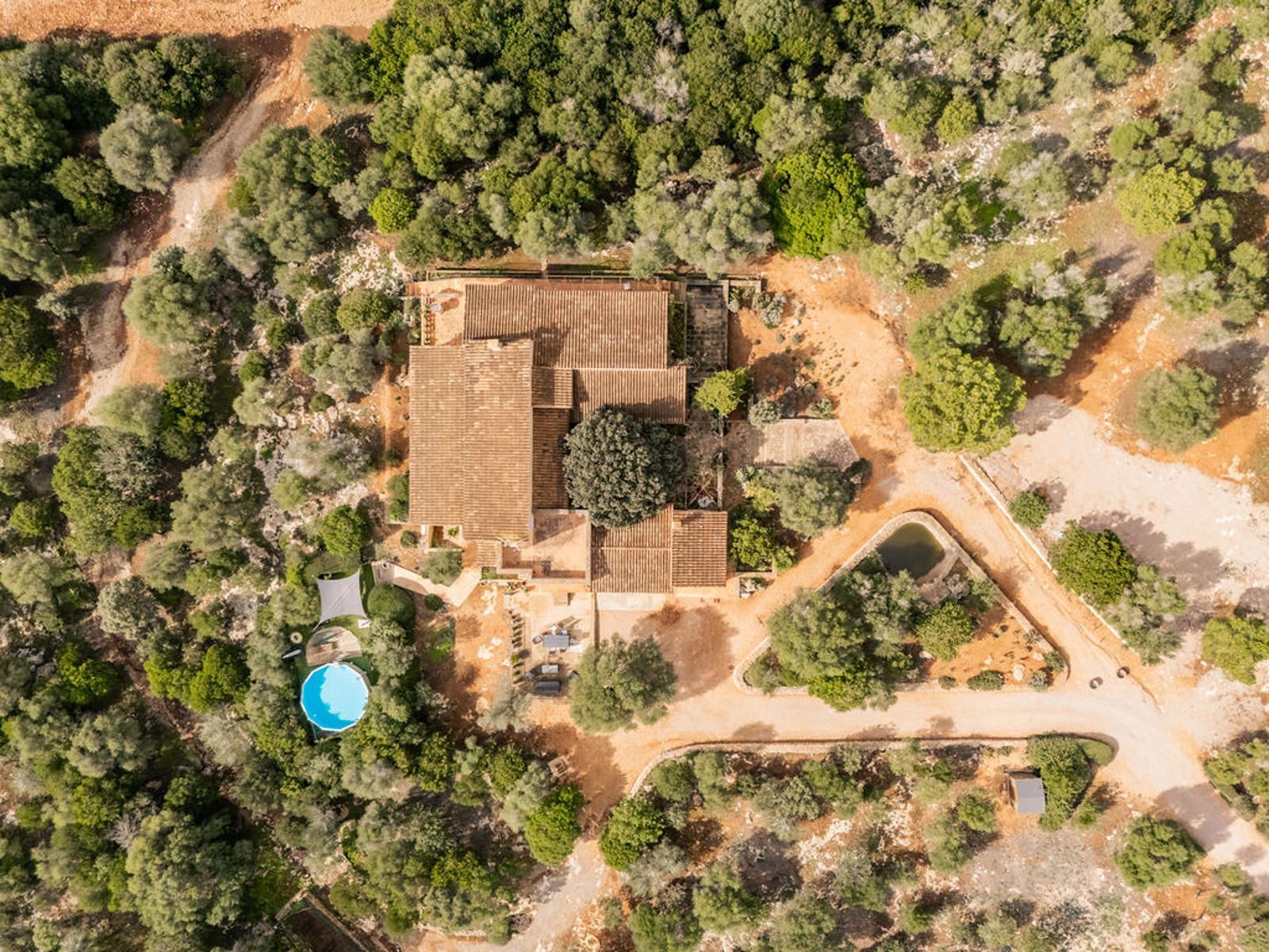 Casas o chalets-Venta-Portocristo/Port De Manacor-1640306-Foto-27