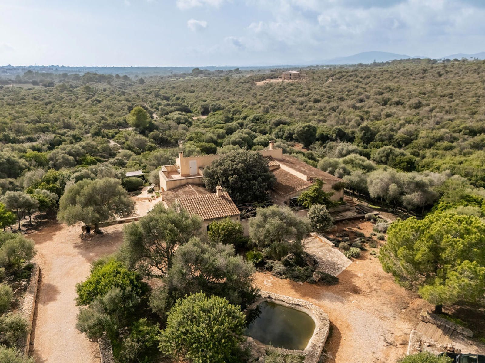 Casas o chalets-Venta-Portocristo/Port De Manacor-1640306-Foto-26