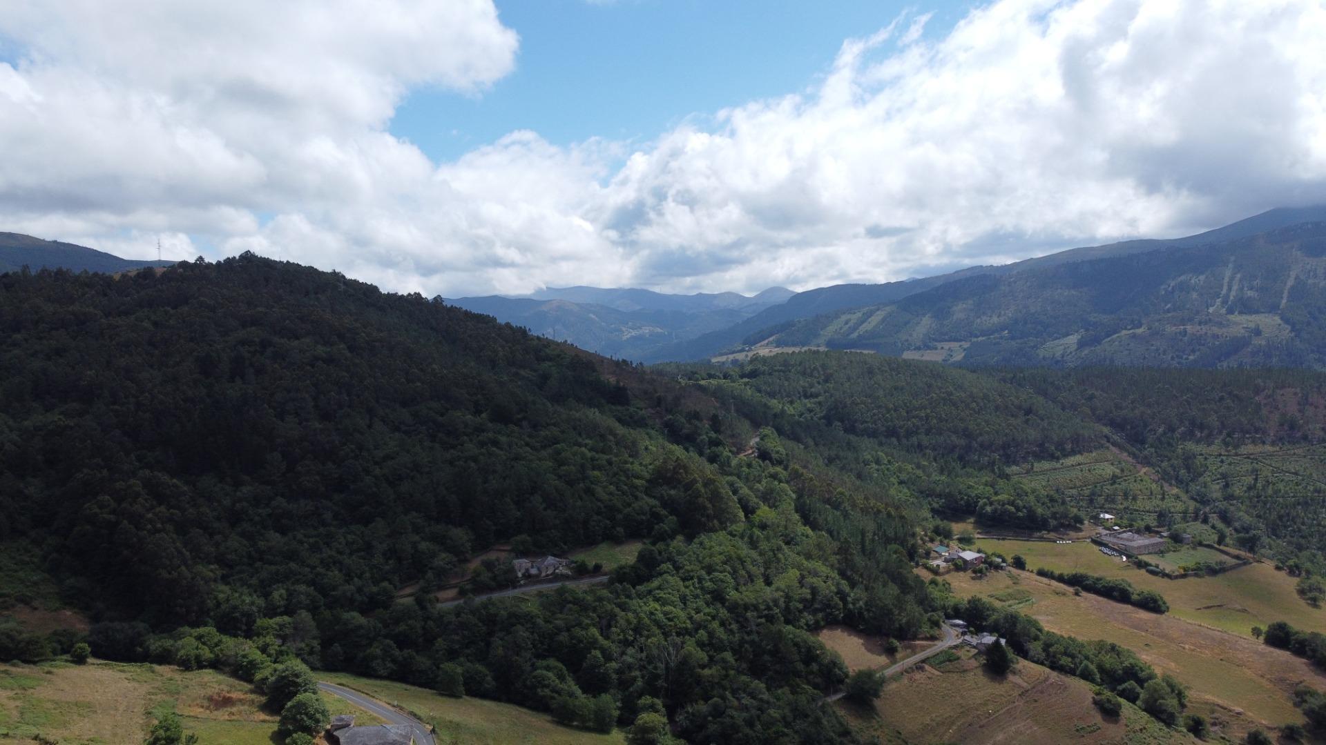 Casas o chalets-Venta-El Boalo-1828342-Foto-53