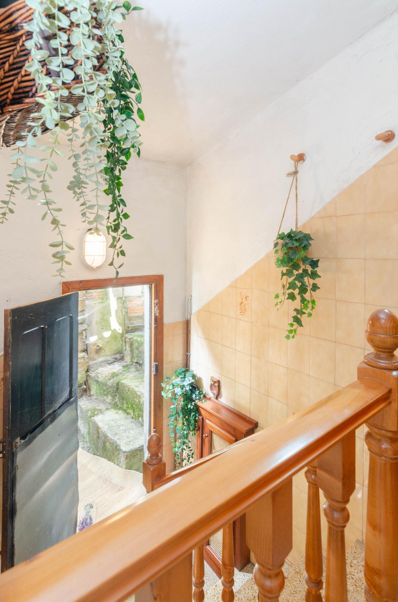 Casas o chalets-Venta-Aller-1828348-Foto-19