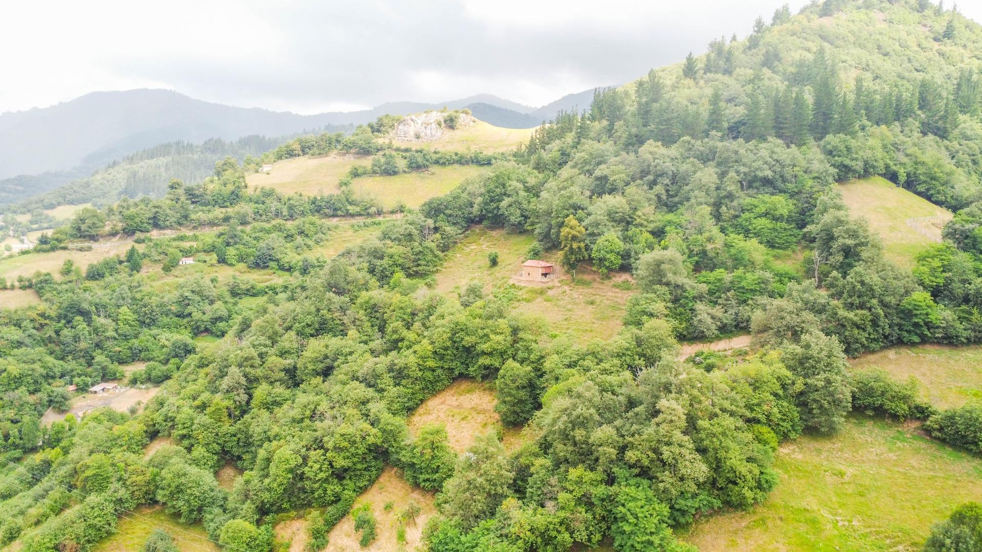 Casas o chalets-Venta-Aller-1828348-Foto-41