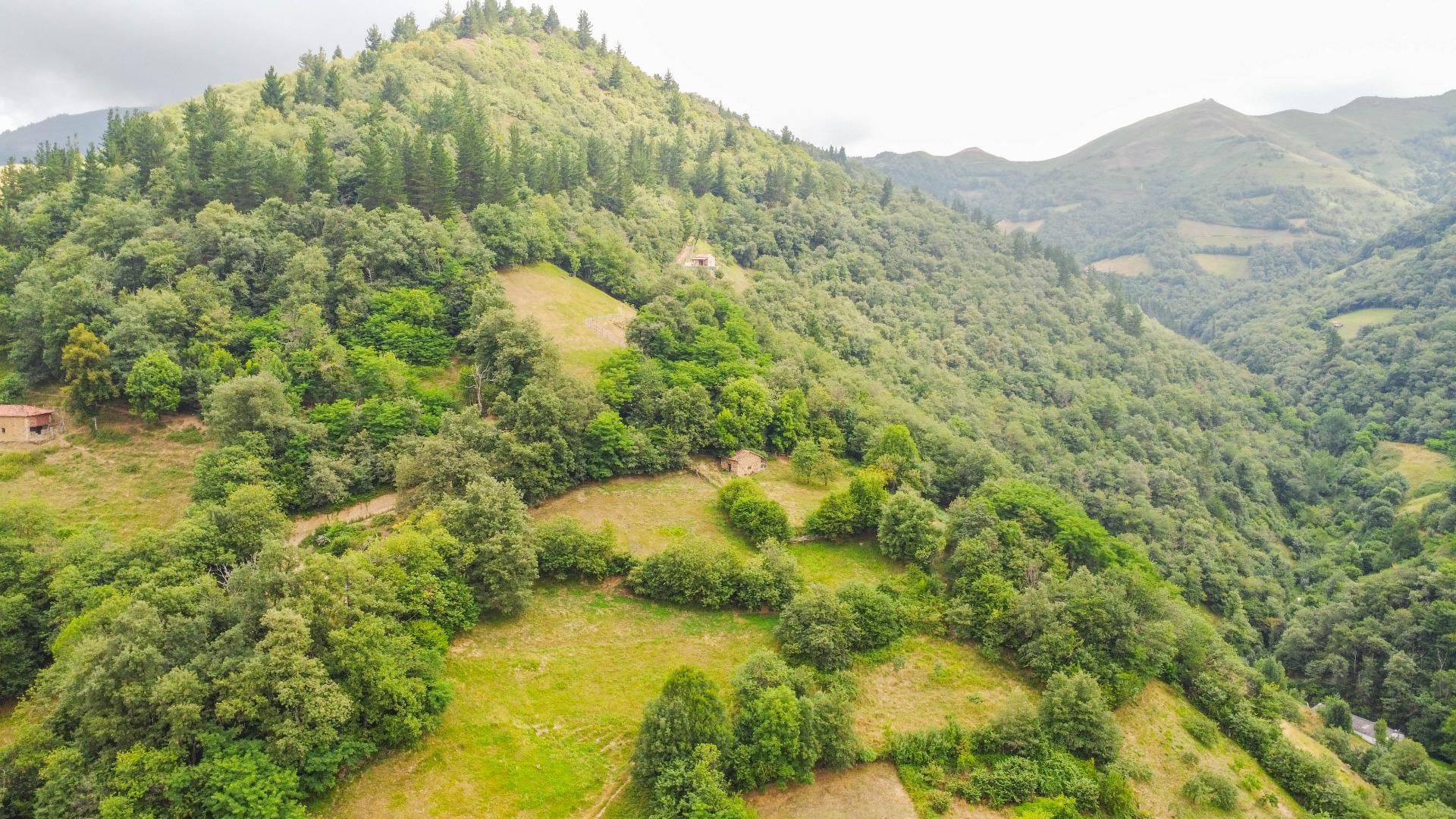 Casas o chalets-Venta-Aller-1828348-Foto-42