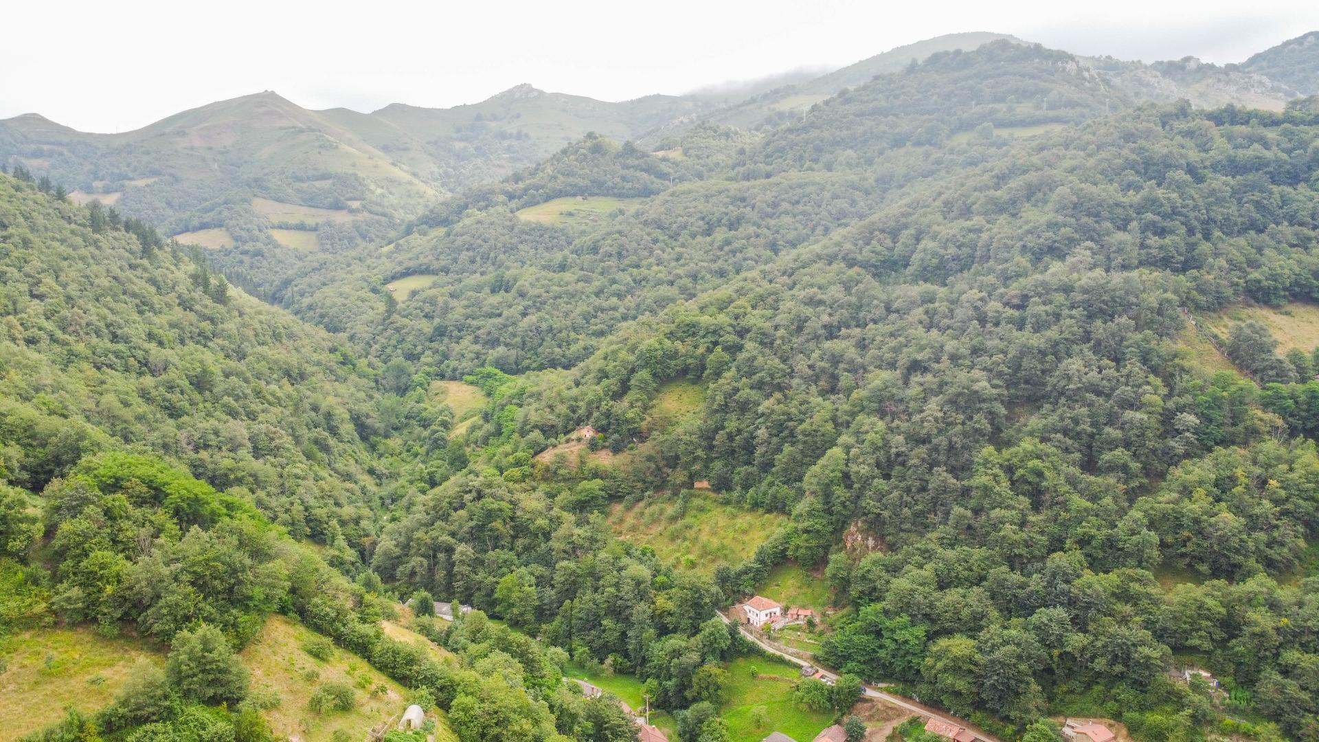 Casas o chalets-Venta-Aller-1828348-Foto-43