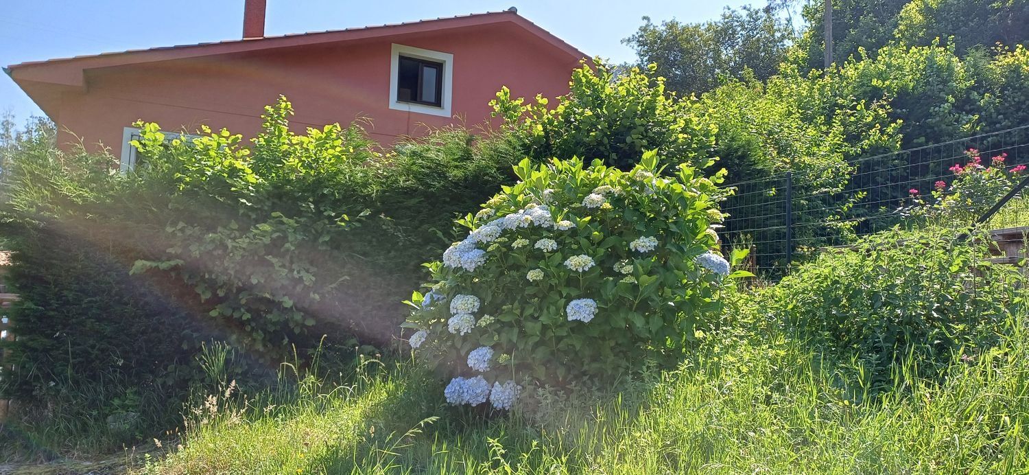Casas o chalets-Venta-Colunga-1751780-Foto-4