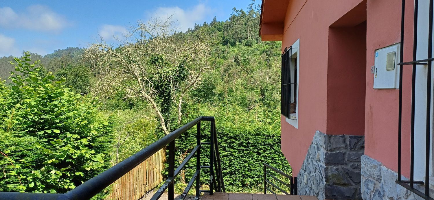 Casas o chalets-Venta-Colunga-1751780-Foto-6