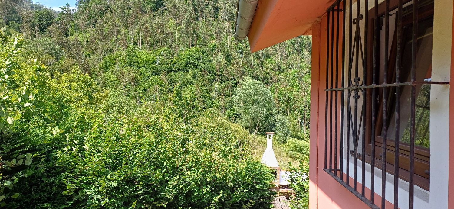 Casas o chalets-Venta-Colunga-1751780-Foto-39