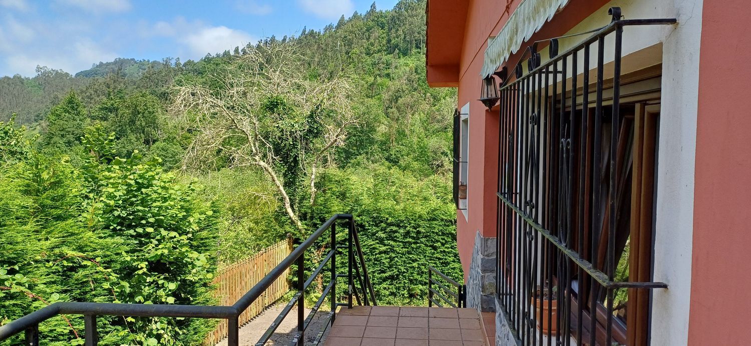 Casas o chalets-Venta-Colunga-1751780-Foto-41