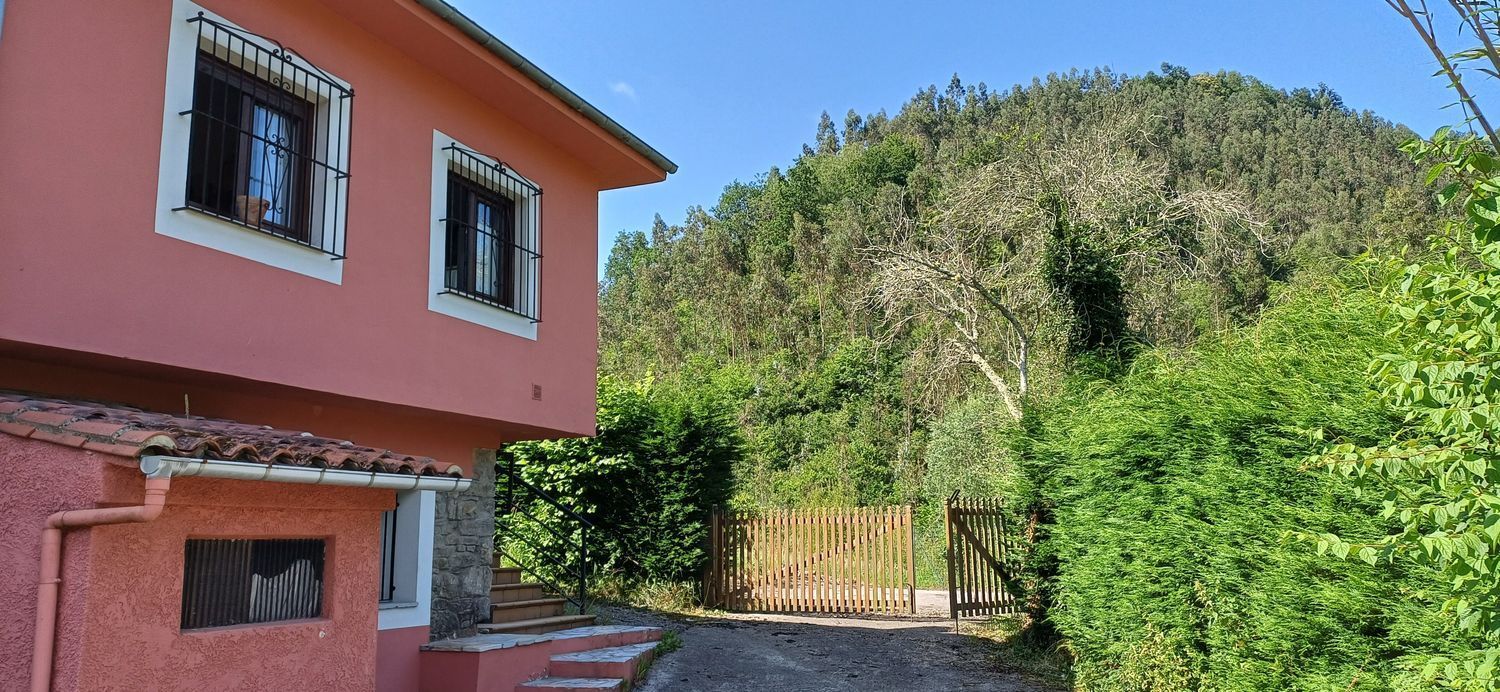Casas o chalets-Venta-Colunga-1751780-Foto-57