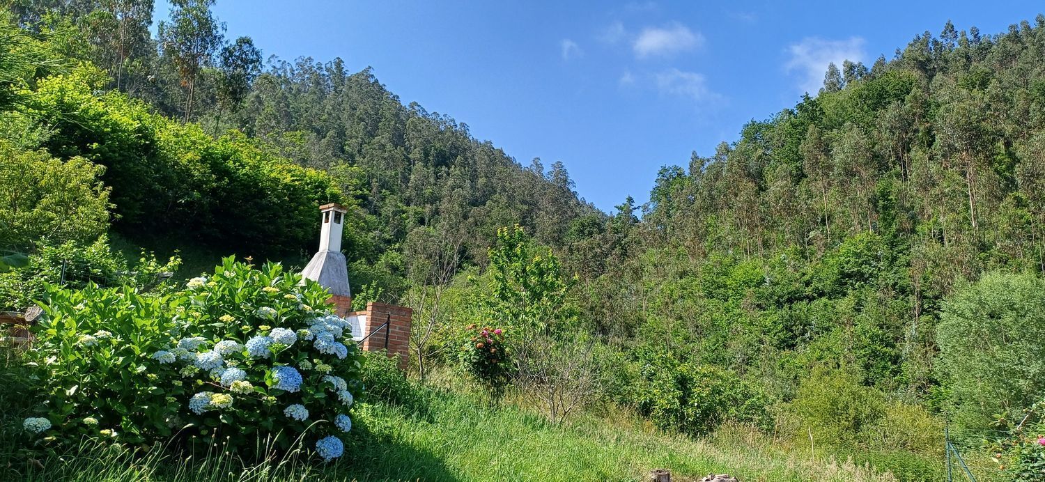 Casas o chalets-Venta-Colunga-1751780-Foto-56